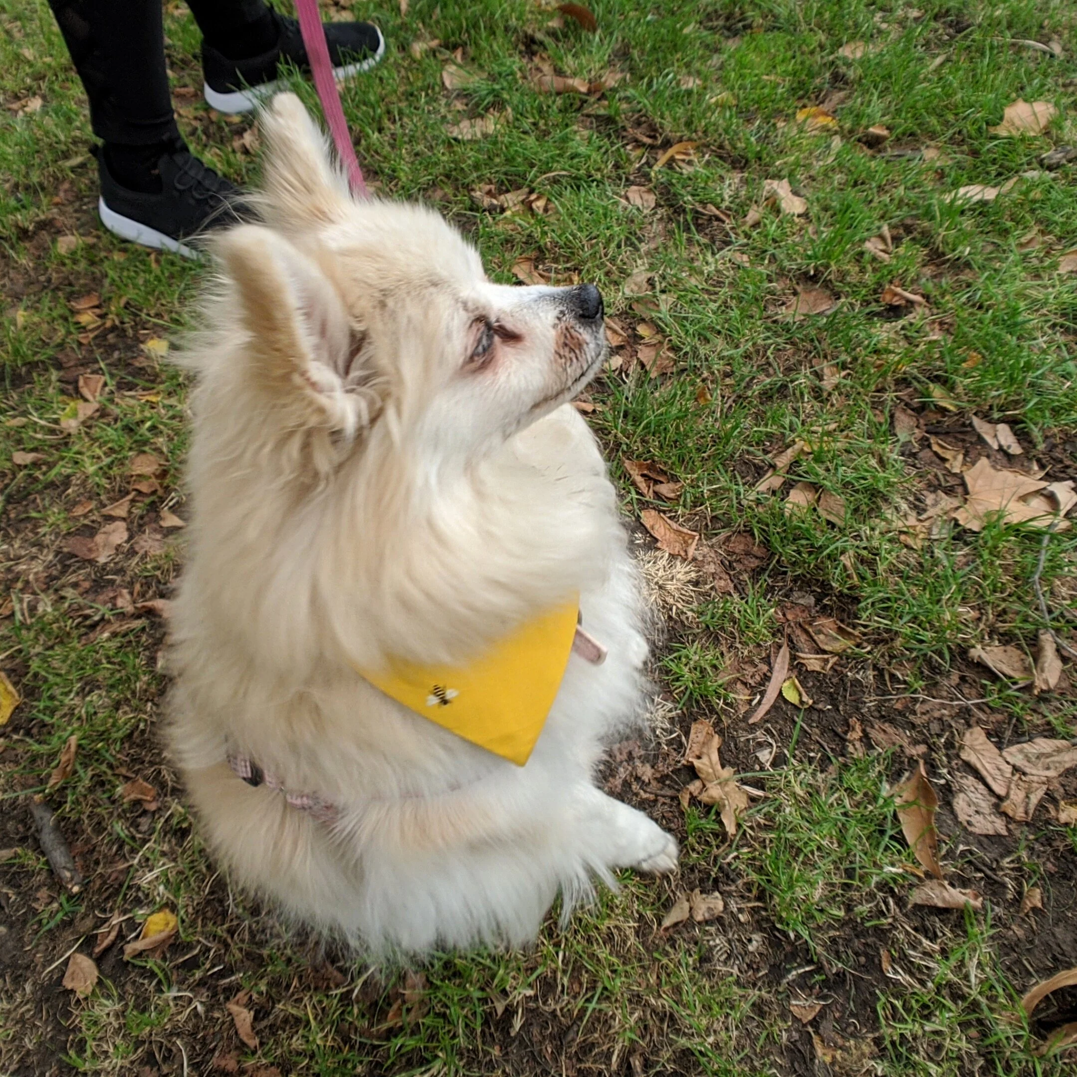MVIMG_20200112_150118-01.jpeg