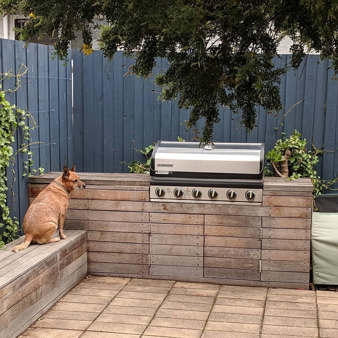  Obligatory post-barbecue investigation to look for anything that may have fallen off plates and trays :) #followyournose #redheeler 