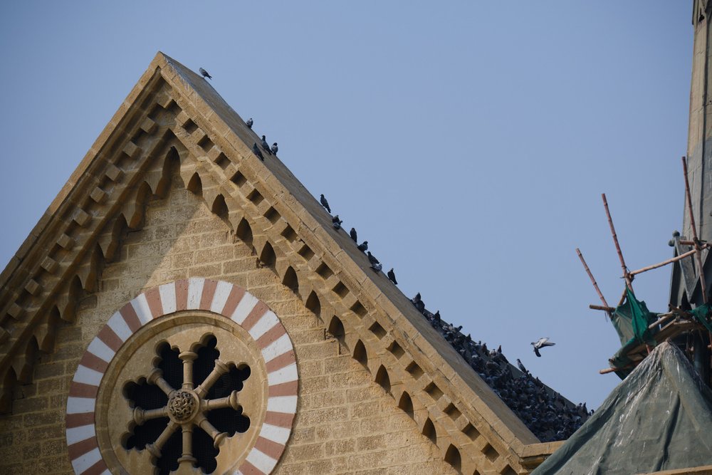 Birds on the roof of Frere Hall (Antique Car Show Karachi 2024)