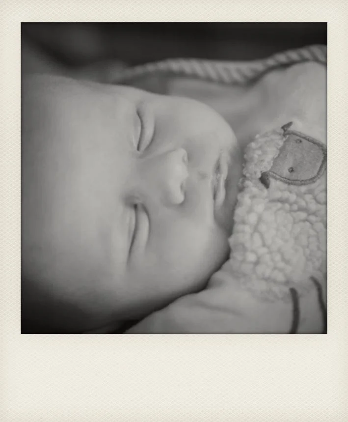 George selected 2013-6465-2_instant.jpg