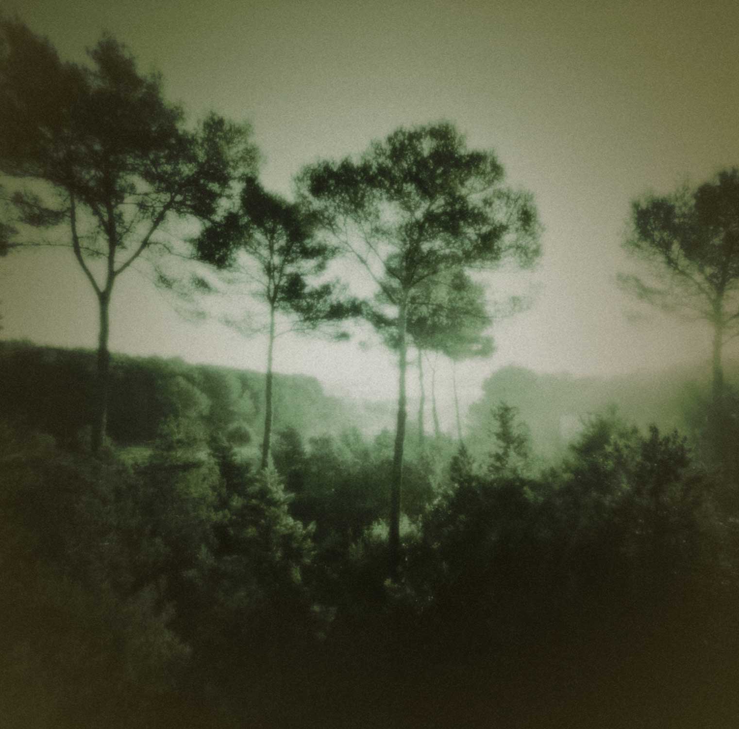 Ibiza dream-09.jpg