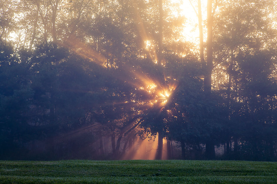 Screen Shot 2013-06-06 at 7.32.19 PM.png