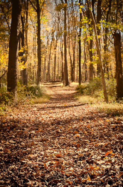 Screen Shot 2013-06-10 at 9.42.42 AM.png