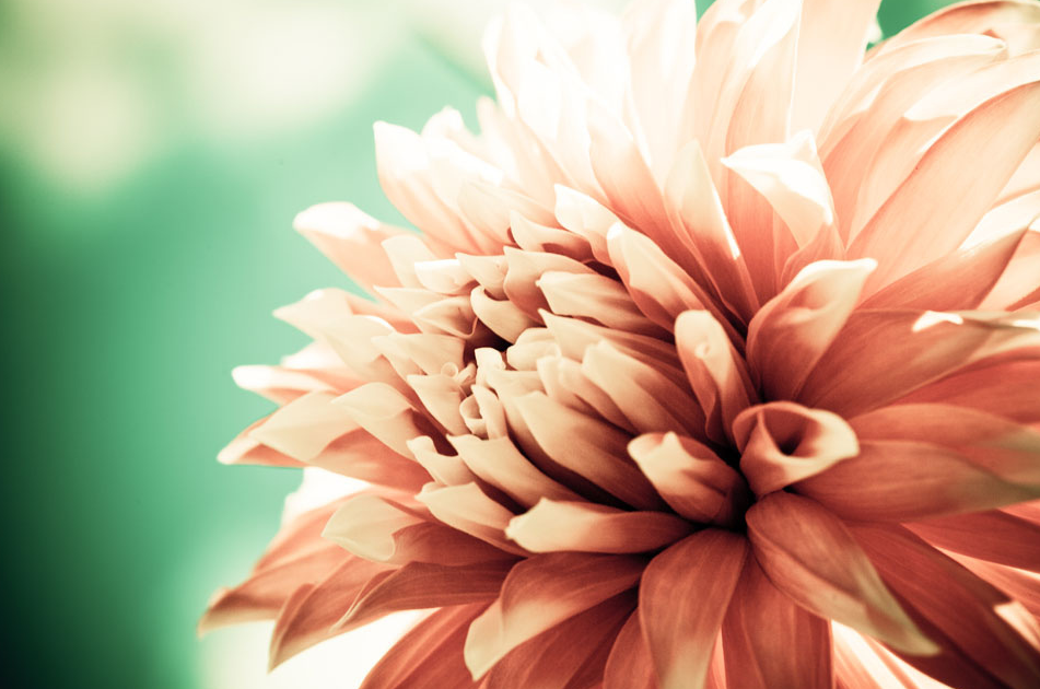 Screen Shot 2013-06-10 at 10.01.18 AM.png