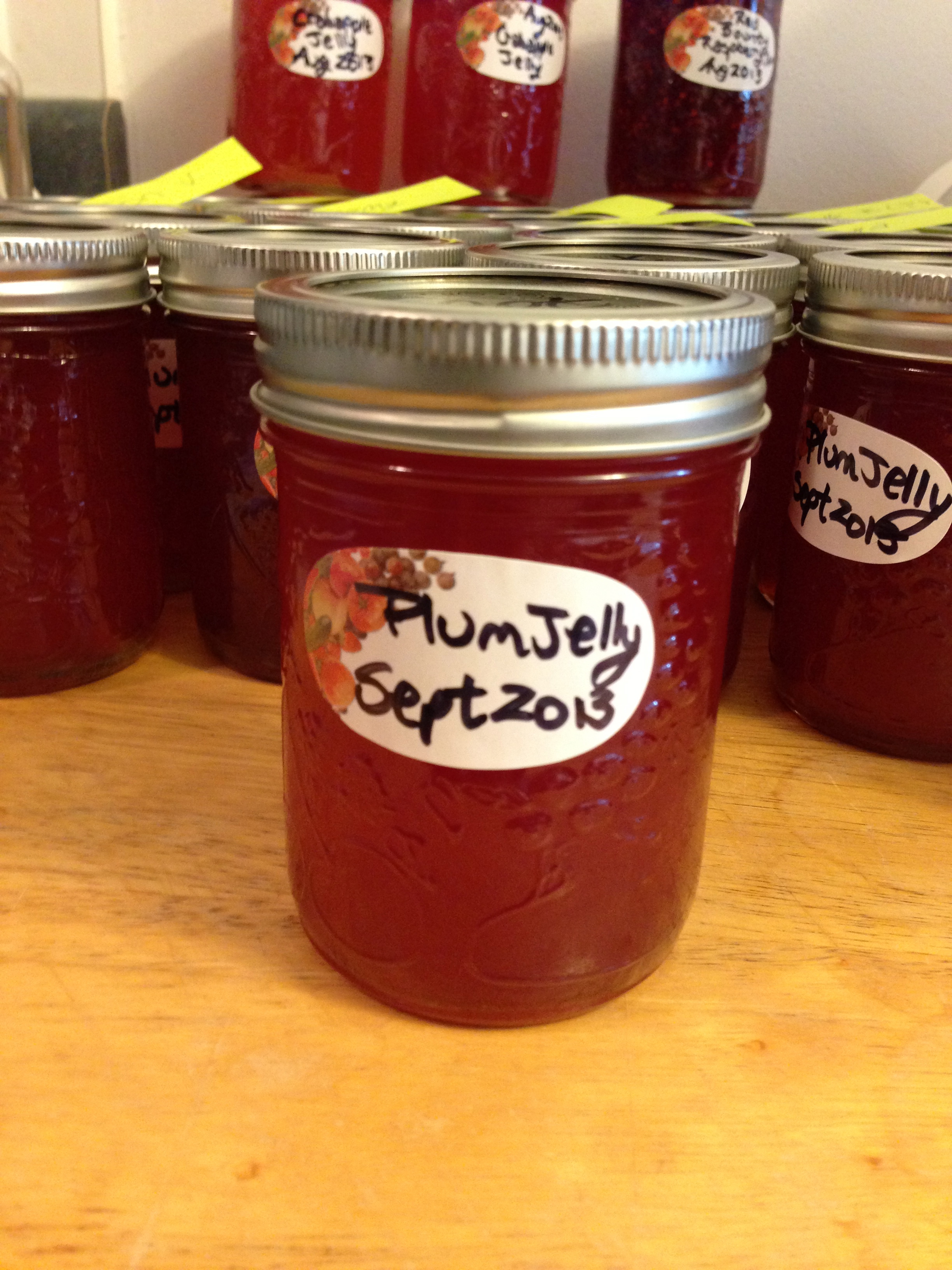 All the Jellies!