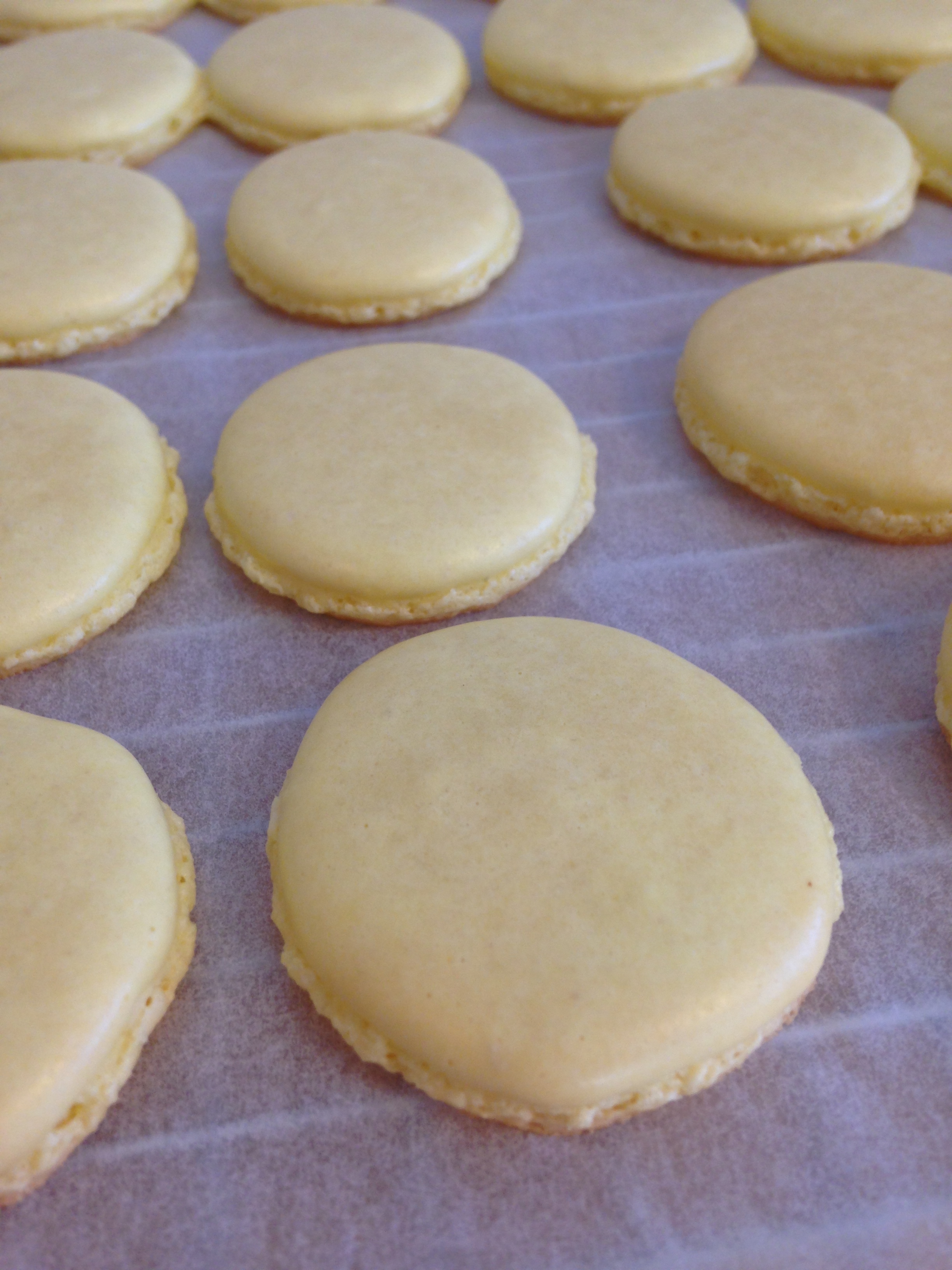 Look! They're perfect!