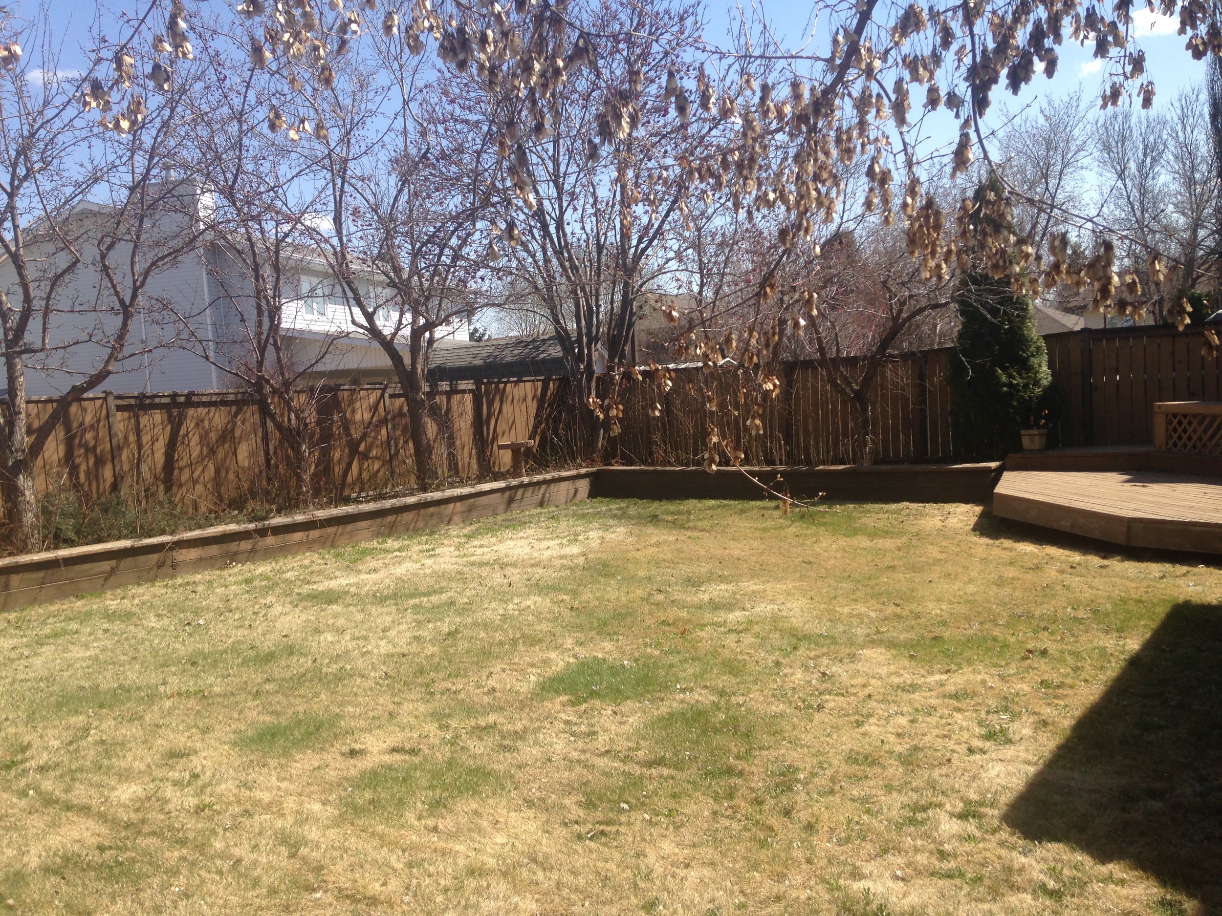 The Big Backyard - Spring time