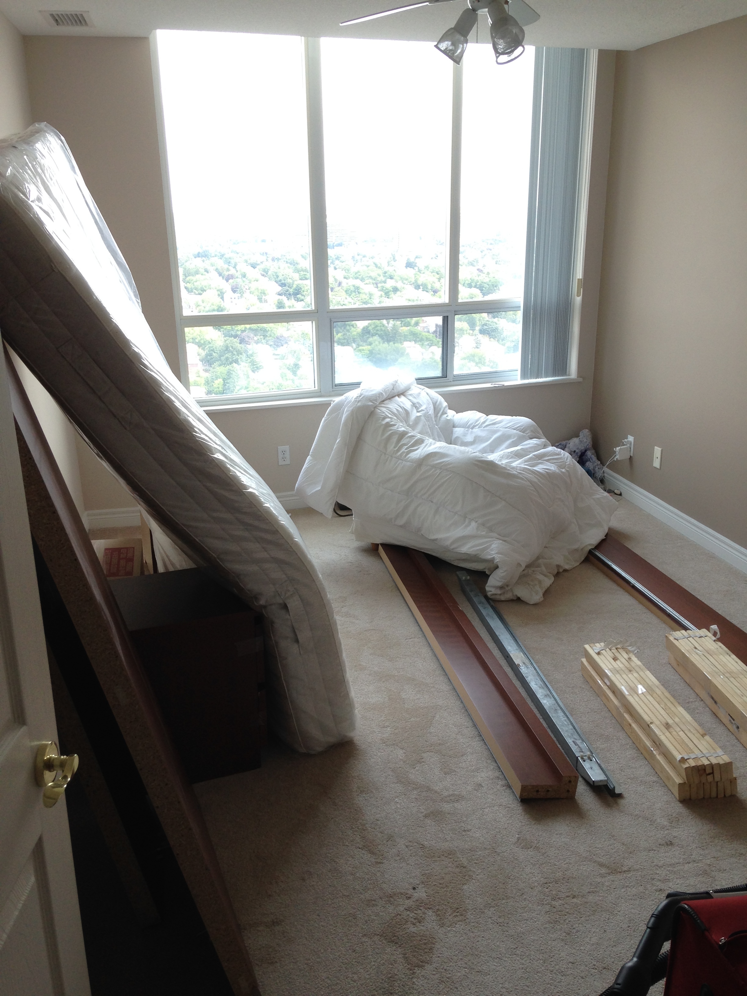 A Real Live Bed!