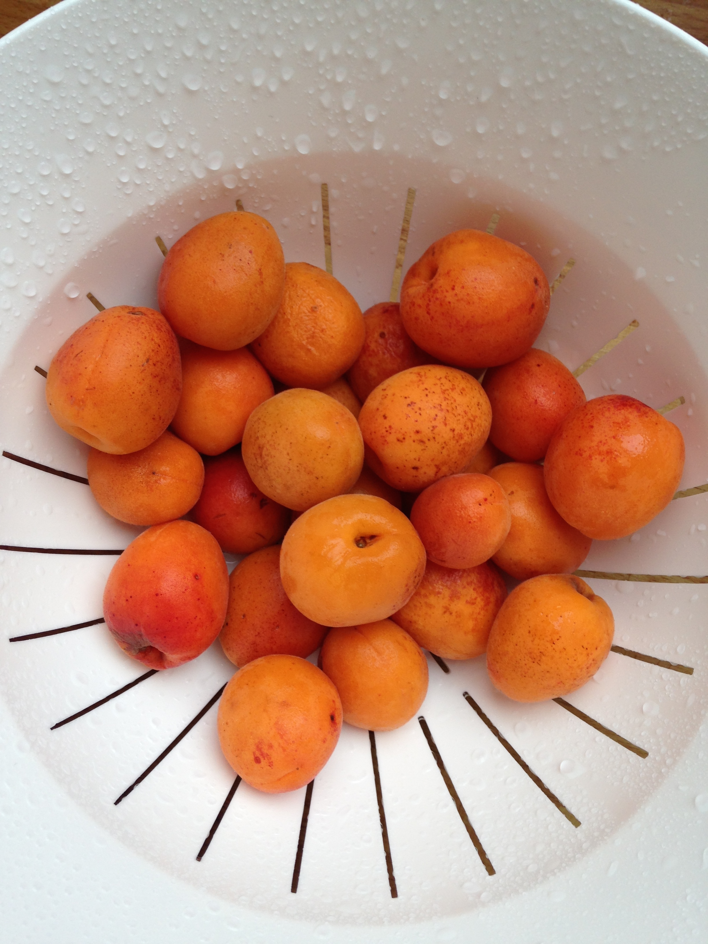 Fresh Market Apricots