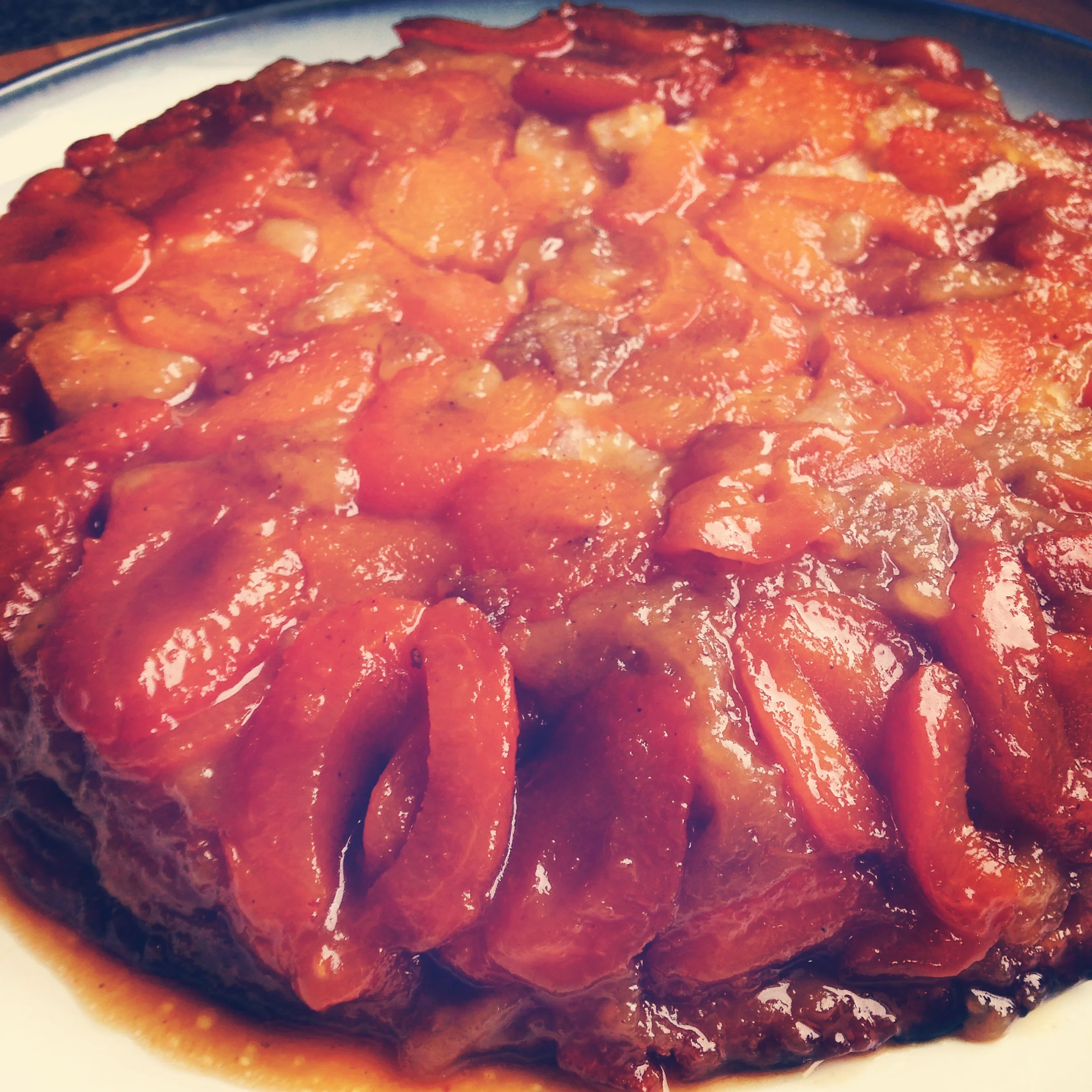 Apricots and Oven Testing