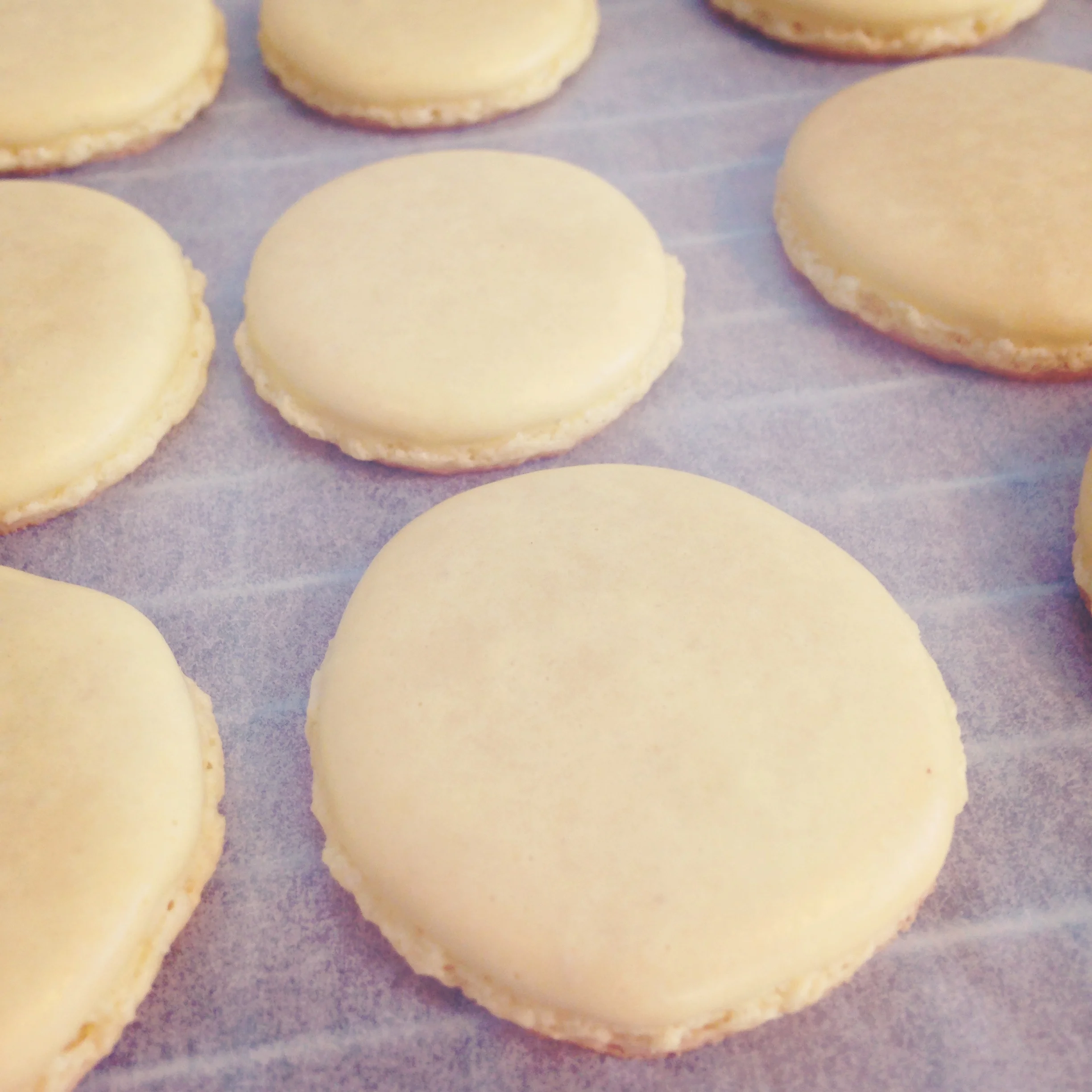 Macarons: The 5 Pound Story