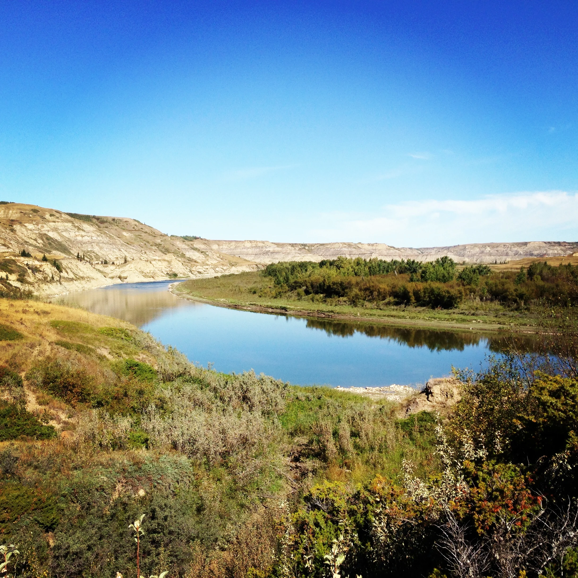 Alberta: Fields and Friends and Family