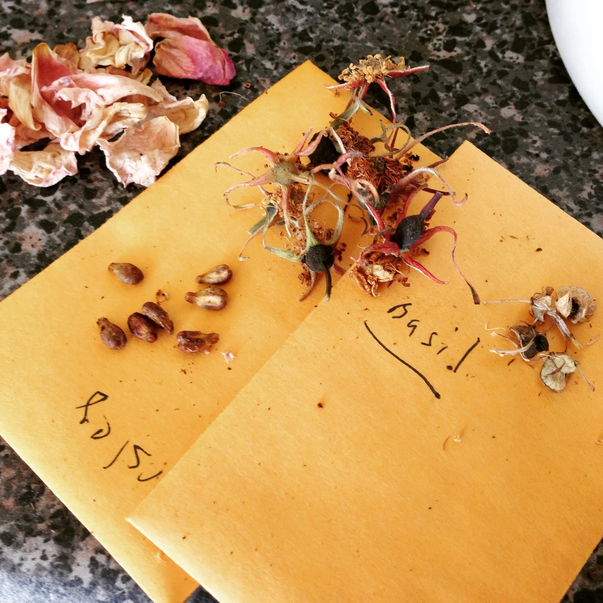 Balcony Gardening: Take-Two