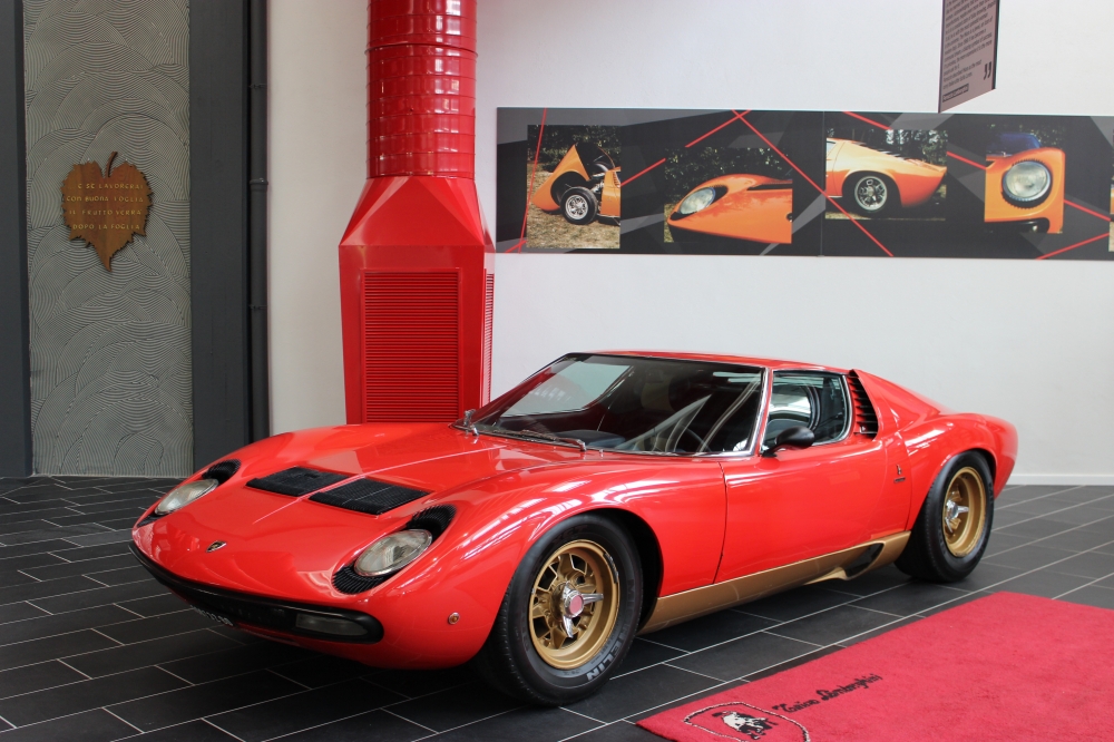 Museo ferruccio Lamborghini The Ferruccio Lamborghini Museum showcases the history of this world-renowned sports and luxury car brand. Visitors will get to see how classic Lamborghinis were made, as well as how they have impacted the sports vehicles market for decades. The Lamborghini commercials and ads from over the years are also on display at the gallery showcases. Whether for family or business colleagues – you and your party will have hours of non-stop entertainment. Fabio Lamborghini himself runs guided tours at the museum available with advance booking. http://www.museolamborghini.com/index.php?langen