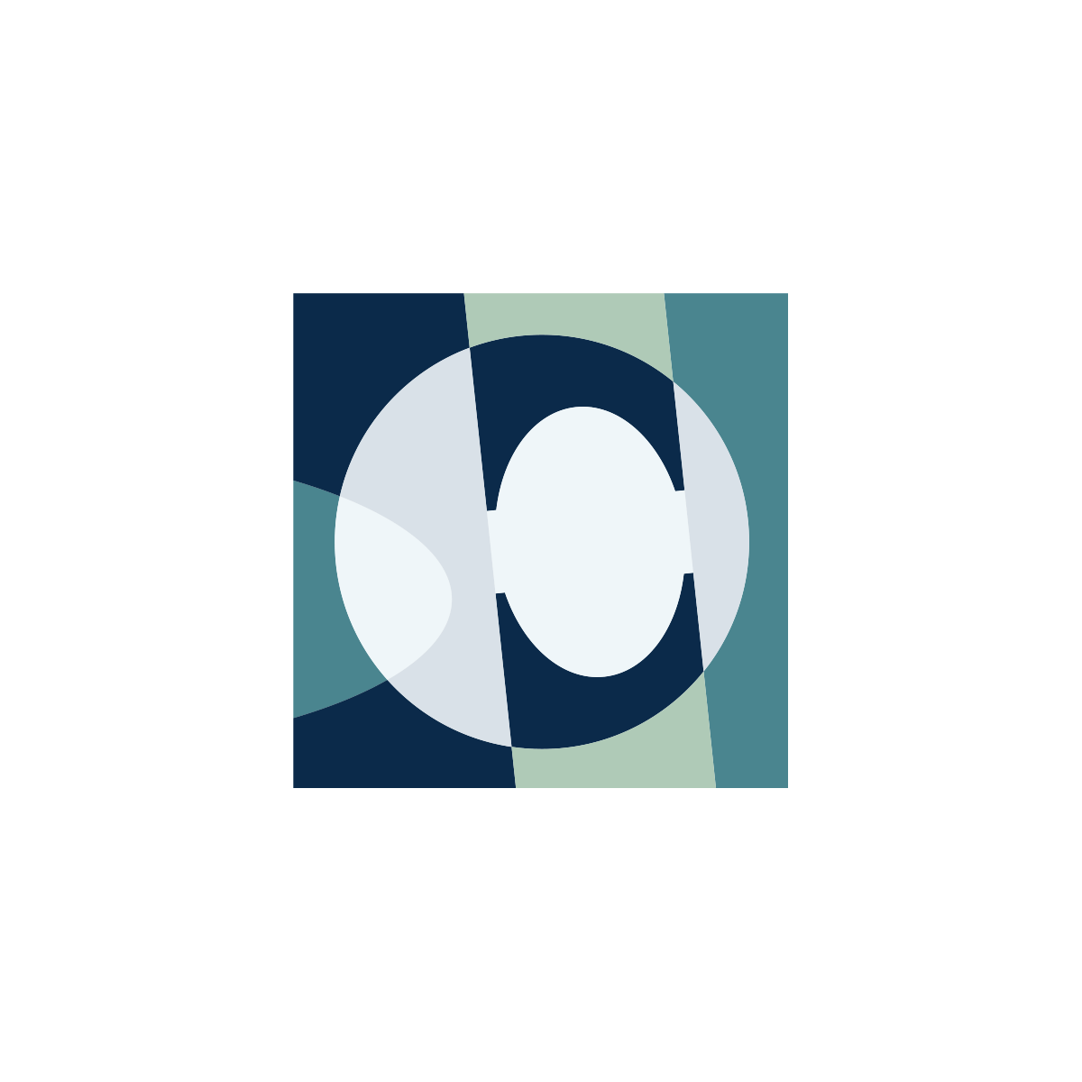 CAM-LOGO.gif