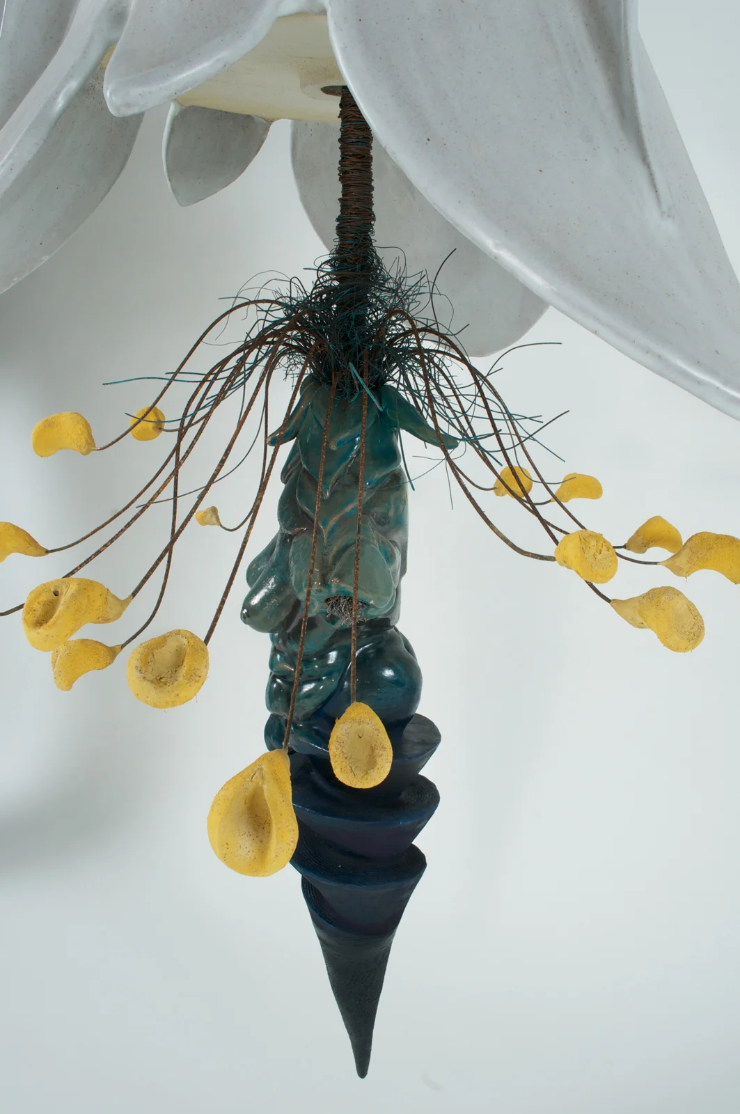 Pistil & Stamen