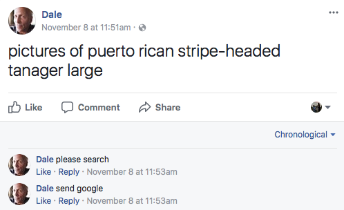 DALE SOCIAL 4.png