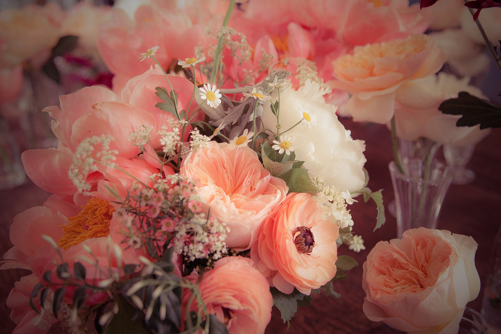 Lots of&nbsp;Spring flowers&nbsp; - photographed by&nbsp;  Dylan Nolte