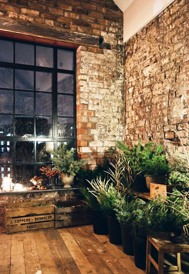 Lots and lots of foliage &nbsp;| &nbsp;Photo by Abi Dare of These Four Walls