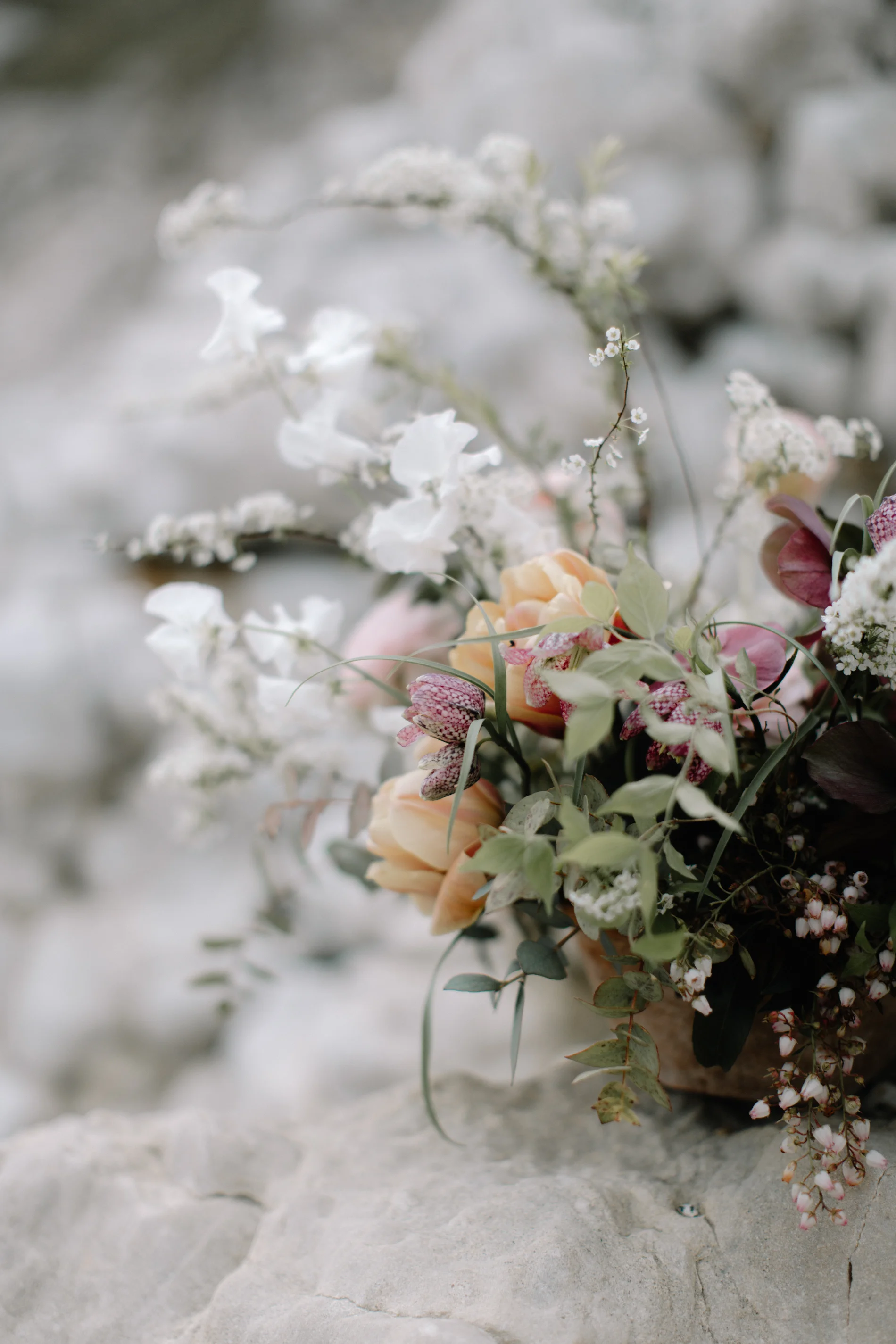 Image by Beccy Goddard