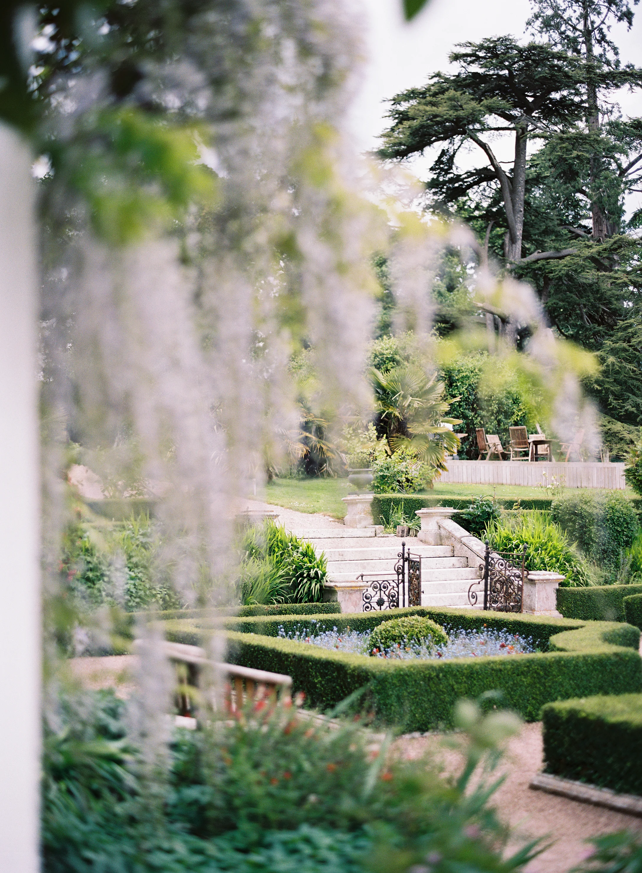The beautiful gardens at Pynes House
