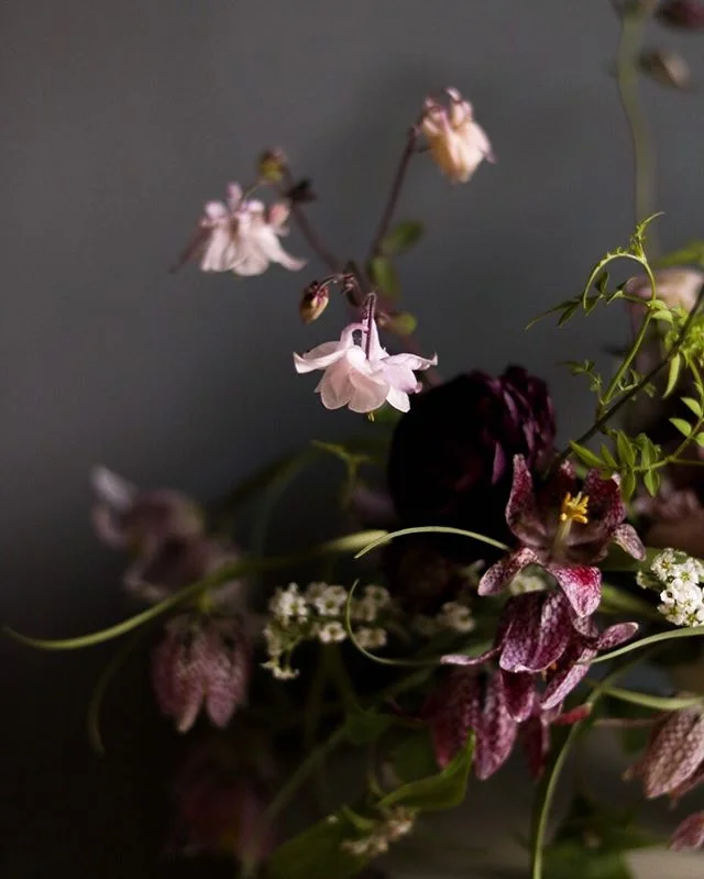 WORKSHOP NEWS!!
I’m really excited to be able to offer the first intimate group workshop at my new studio on FRIDAY 20 SEPTEMBER. 
As the space is so new, this first workshop will be limited to just 4 attendees. Details in profile.