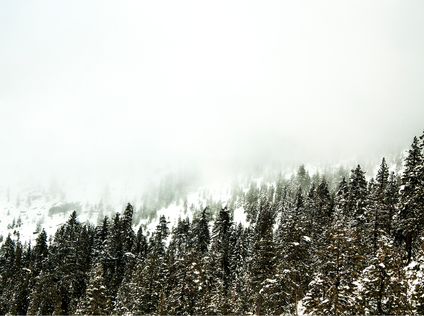 Lake Tahoe, CA | Dorey Kronick