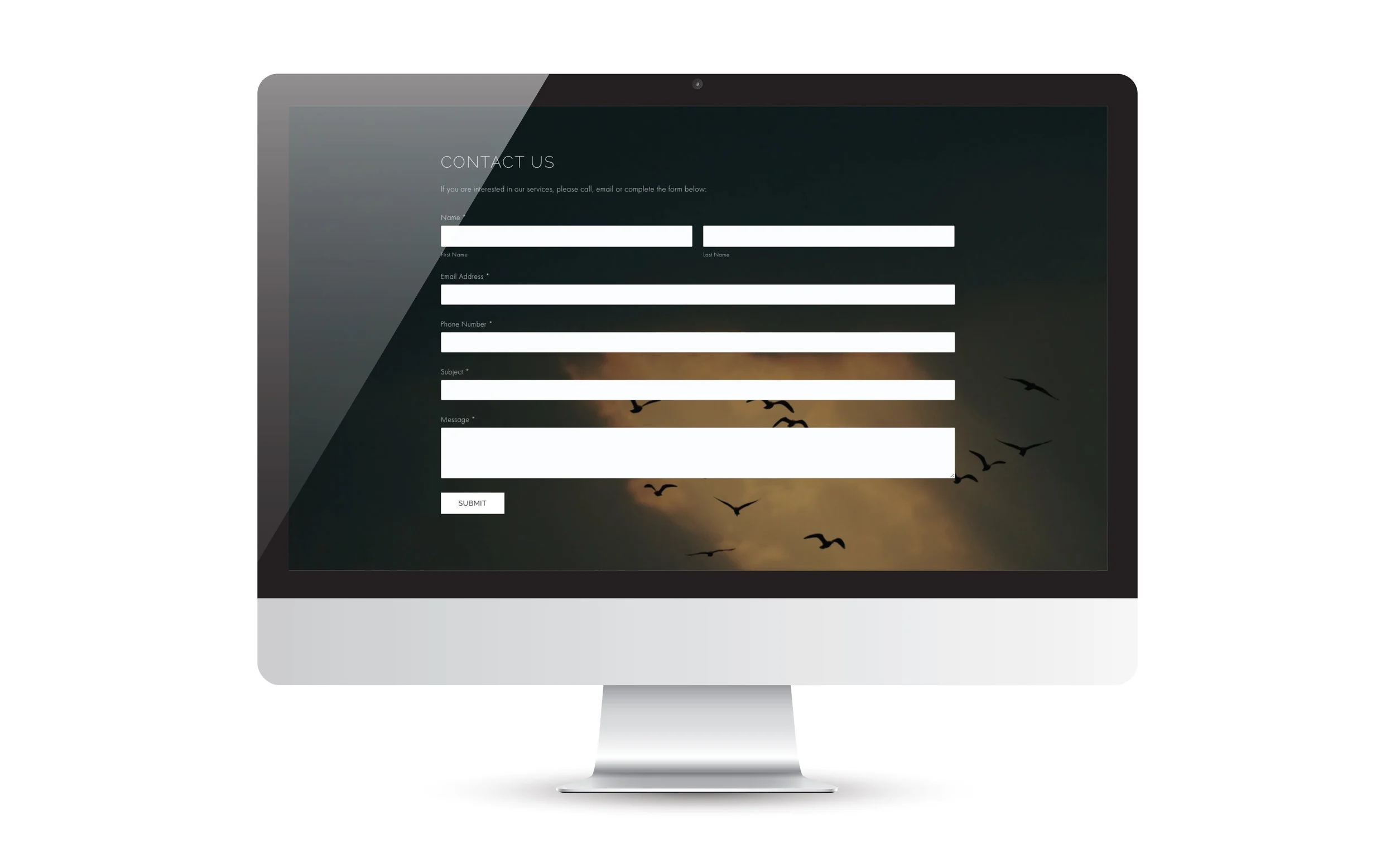 Luminations Psychotherapy & Wellness Website | by Dorey Kronick