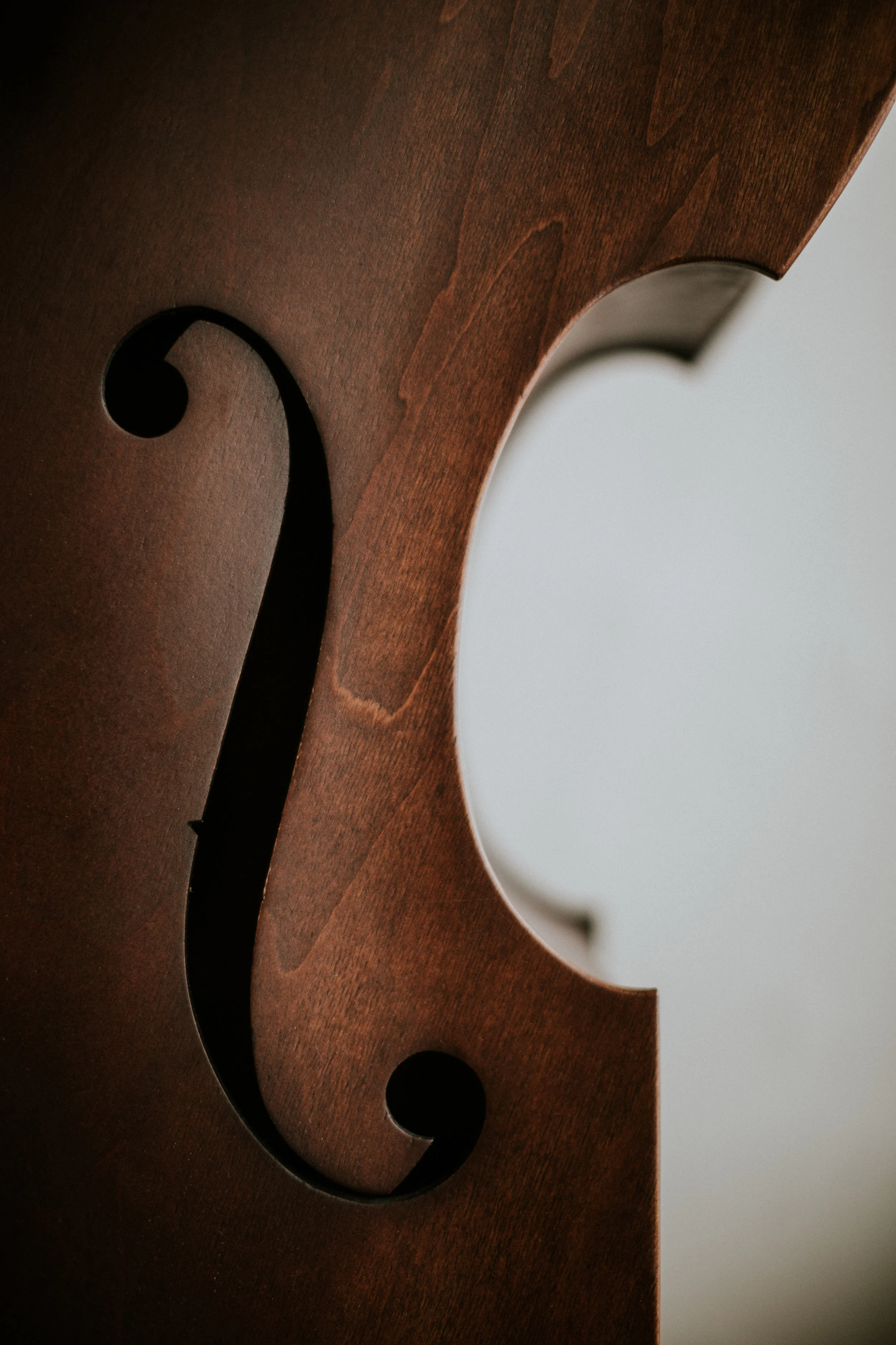 Stand Up Bass for Oliver Horton Music | Photo by Dorey Kronick