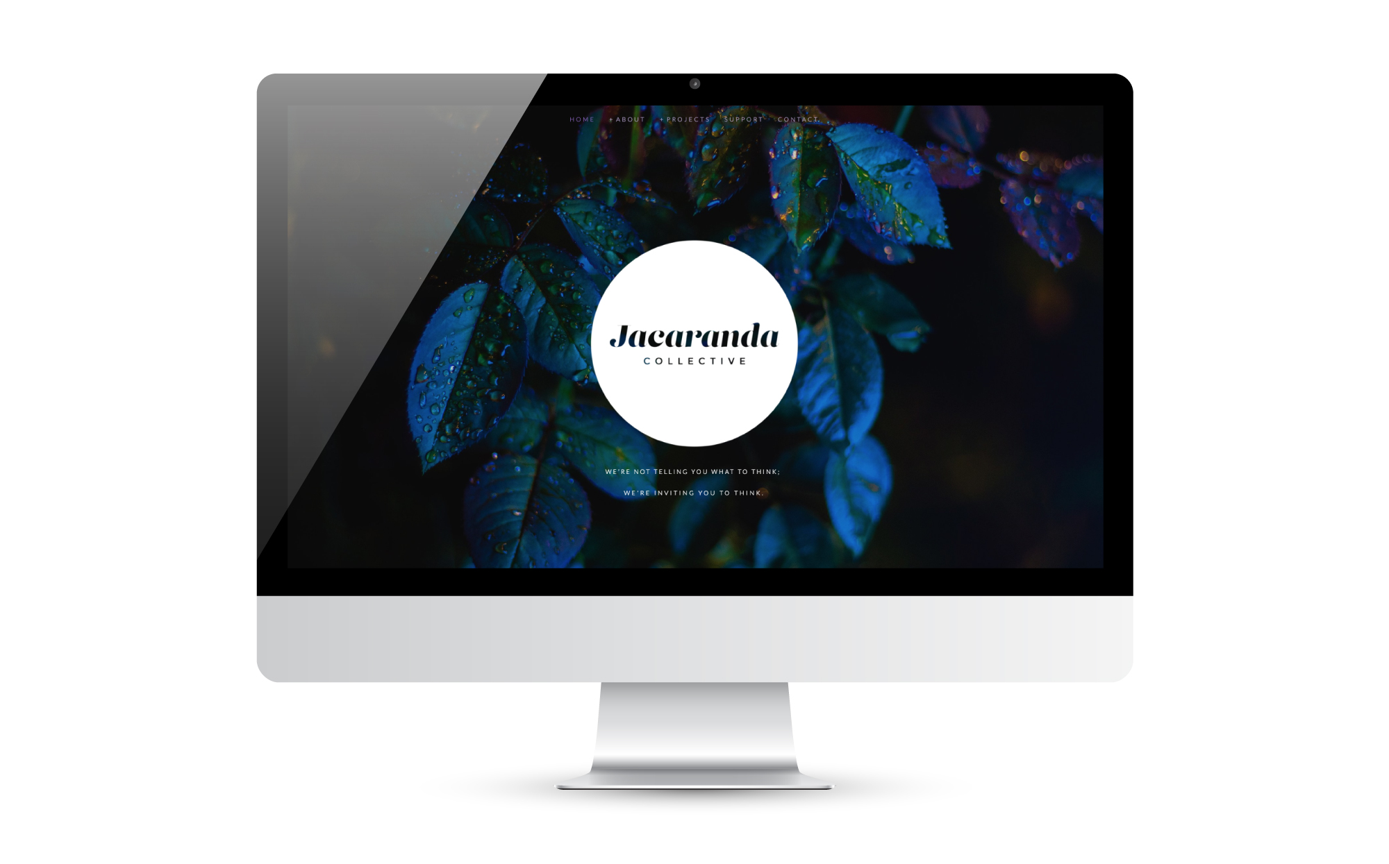 Jacaranda Collective, Multimedia Productions Website | by Dorey Kronick