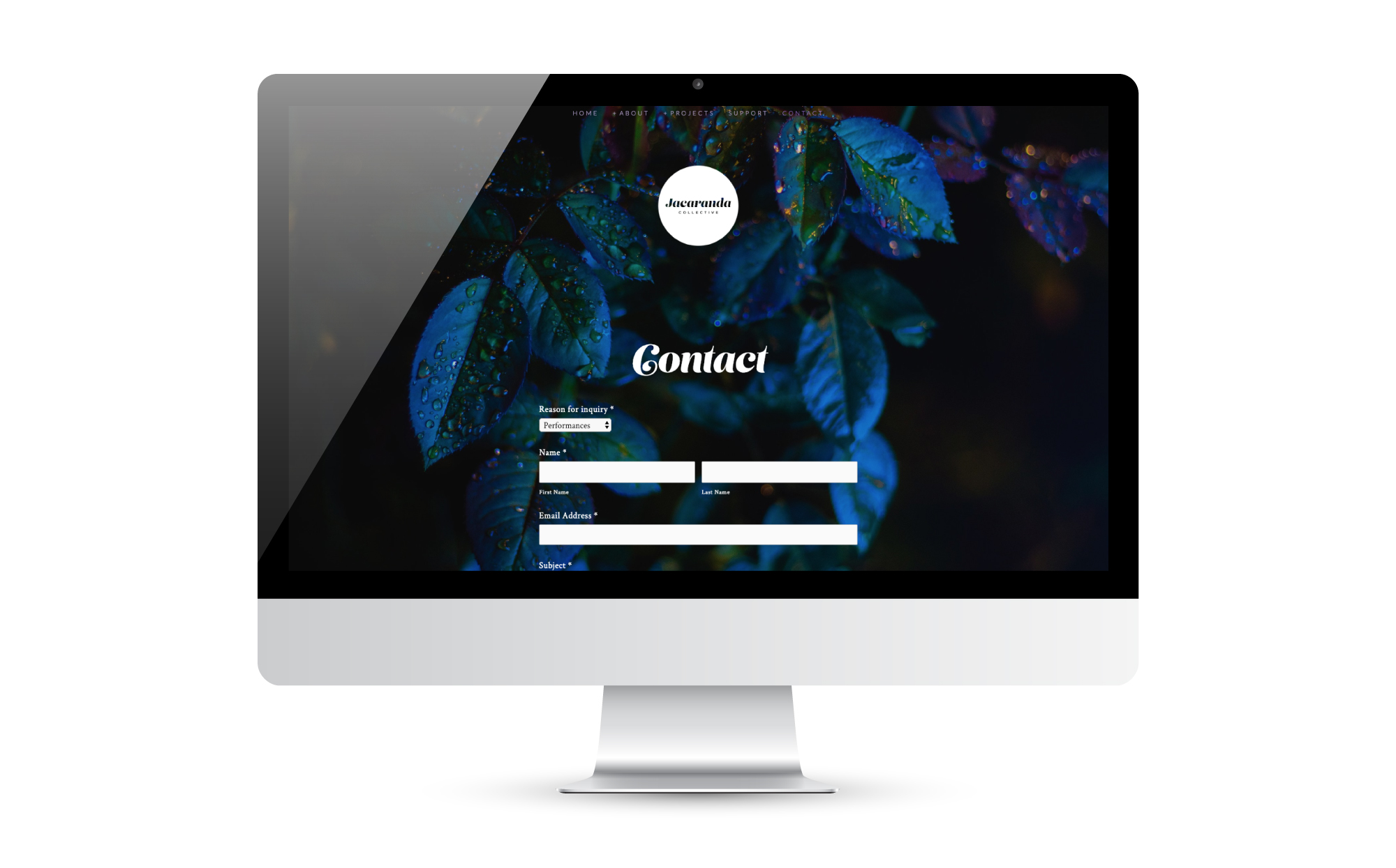 Jacaranda Collective, Multimedia Productions Website | by Dorey Kronick