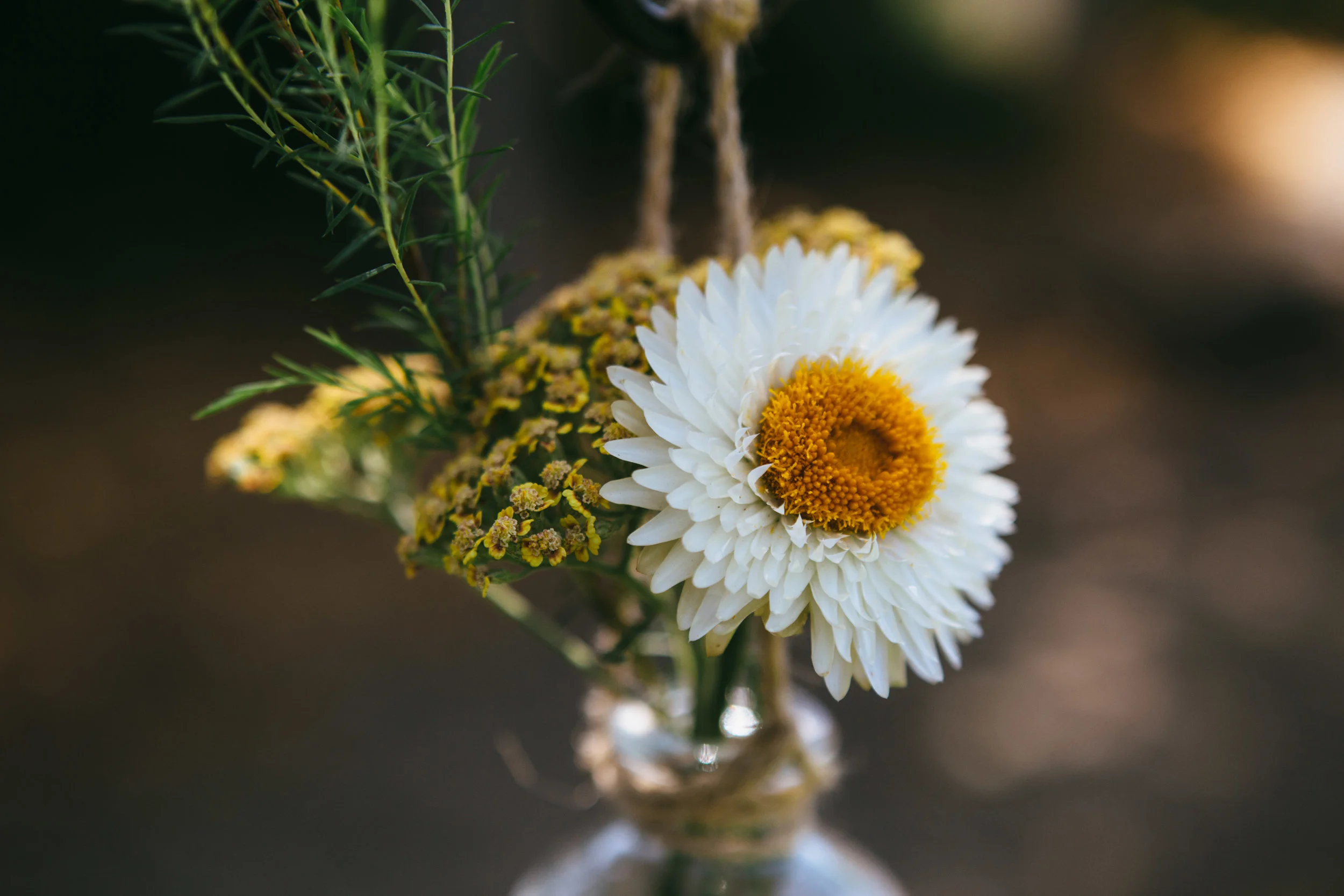 Milana & Evan's Beautiful Point Reyes, California Wedding | Photo by Dorey Kronick
