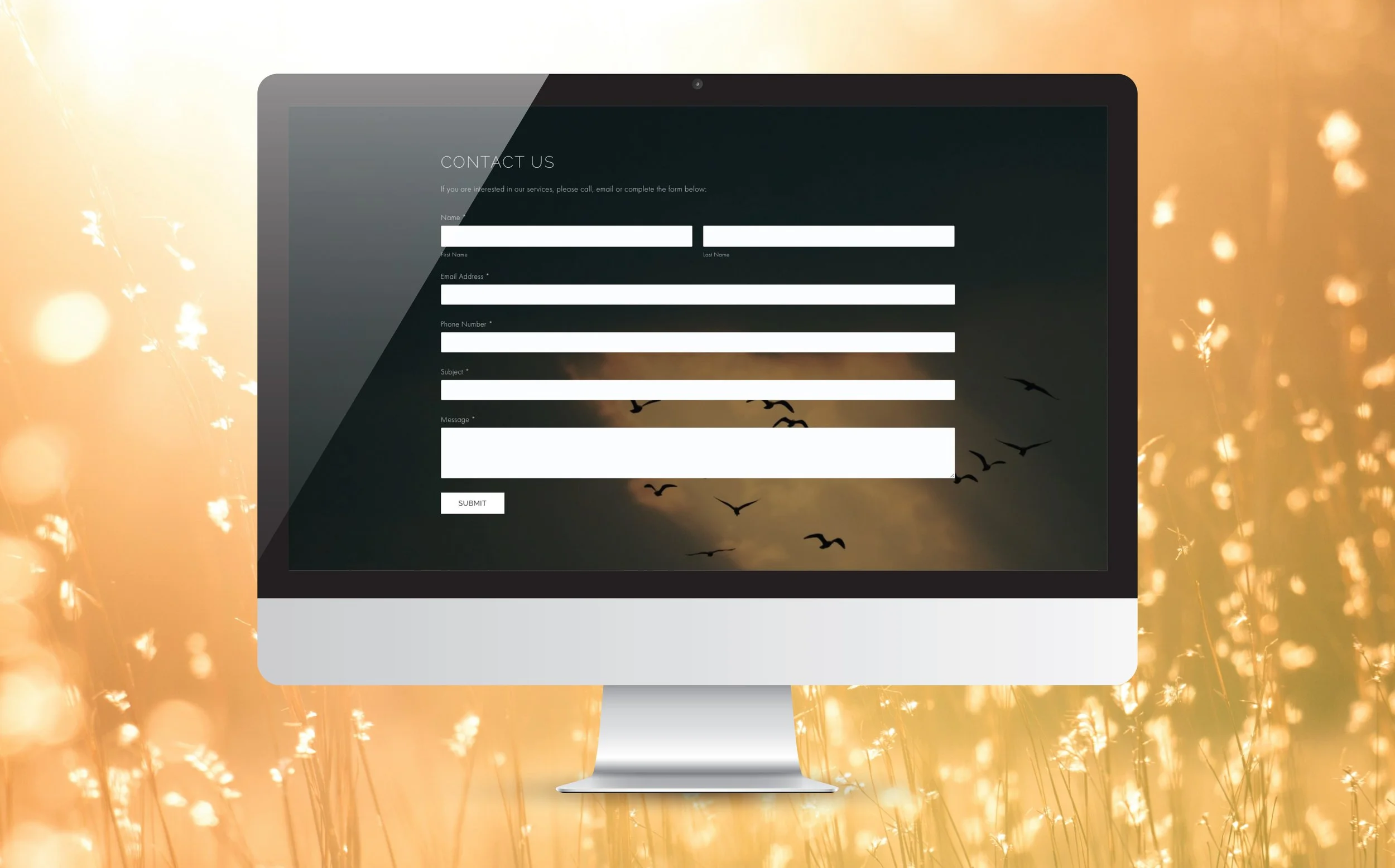 Luminations on screen-3.jpg