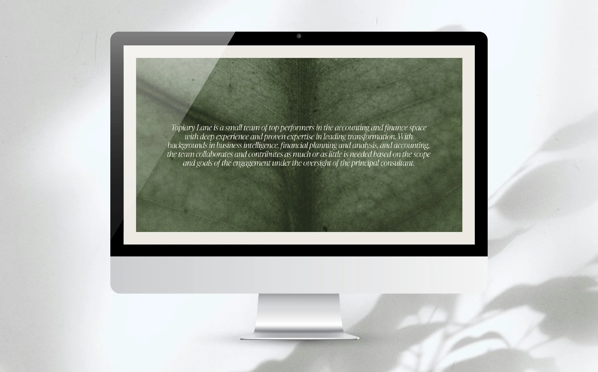 Topiary Lane on screen-3.jpg