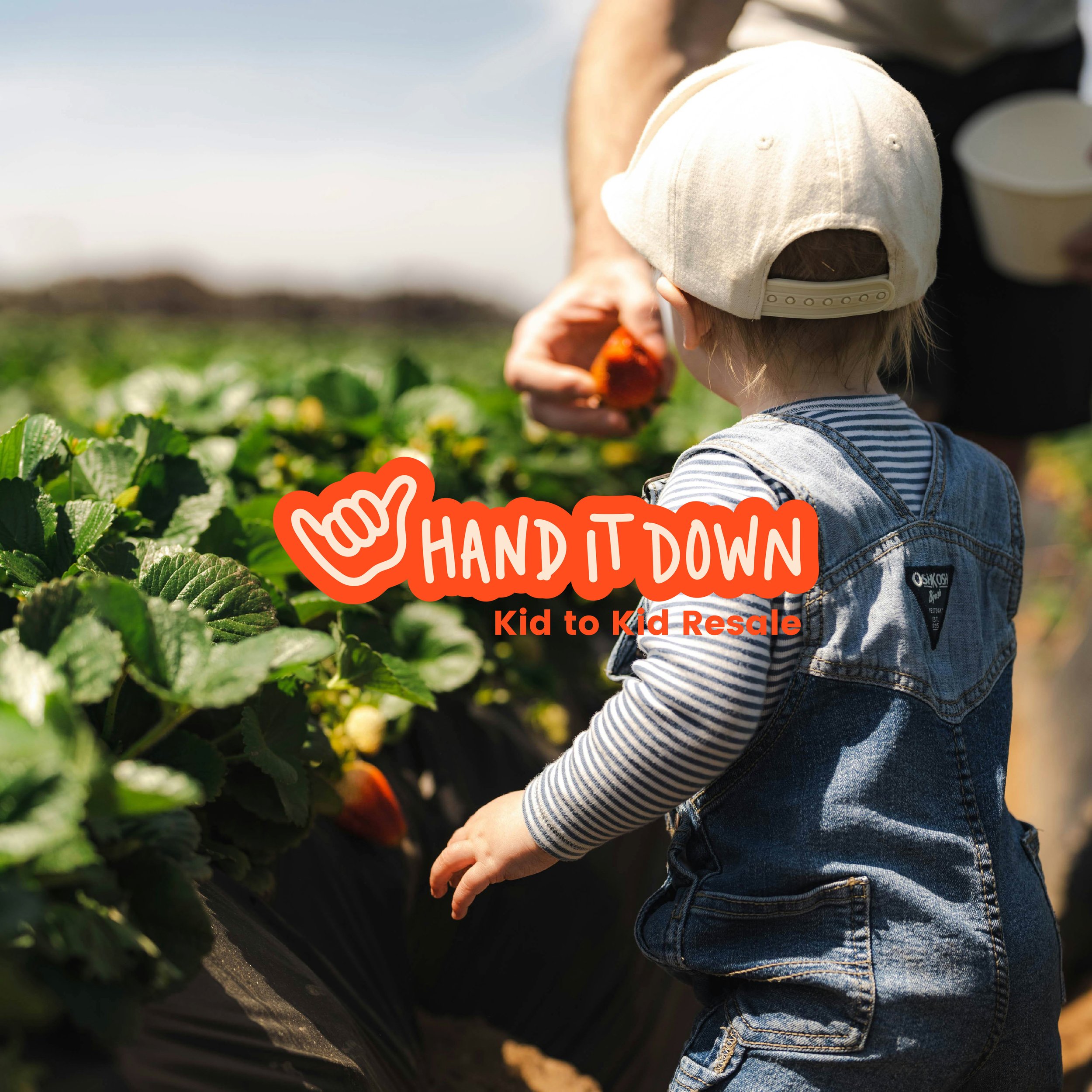 Hand It Down Logo w-BG-1.jpg