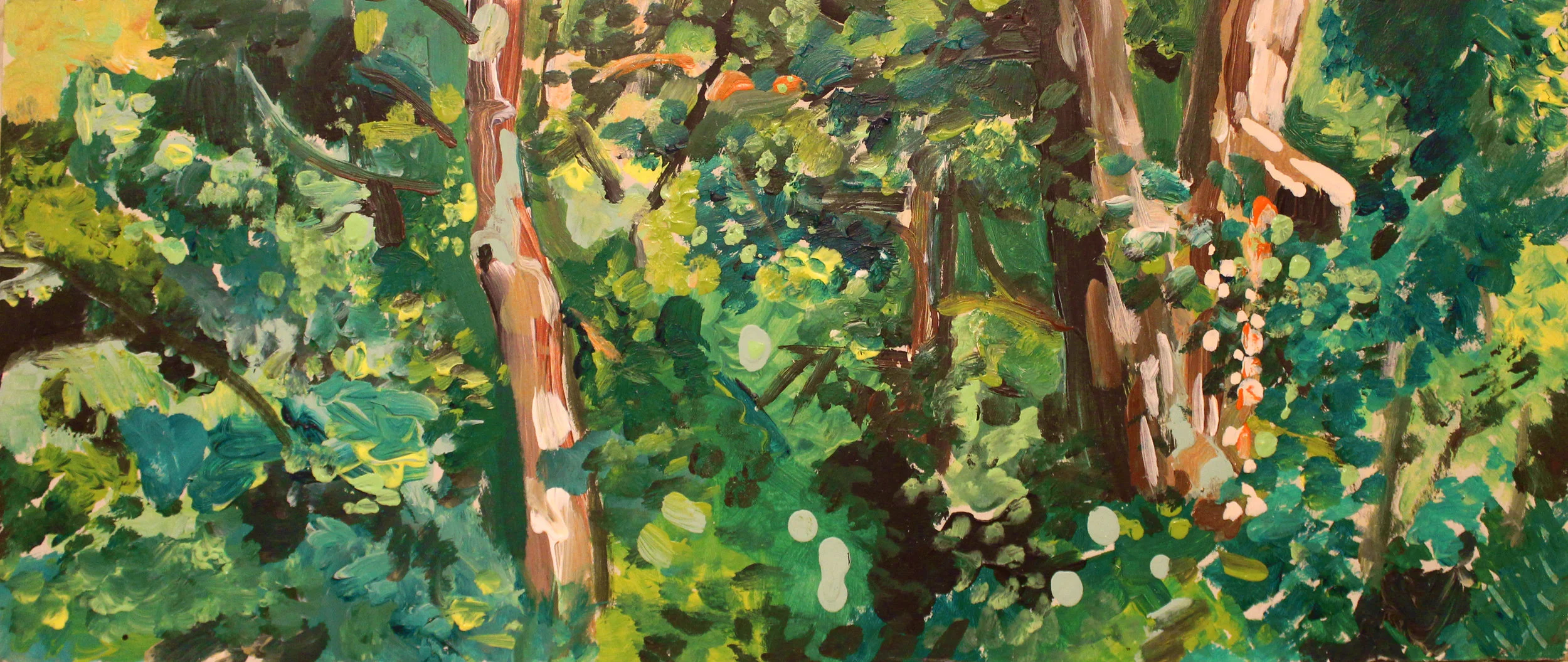 Martha's Woods