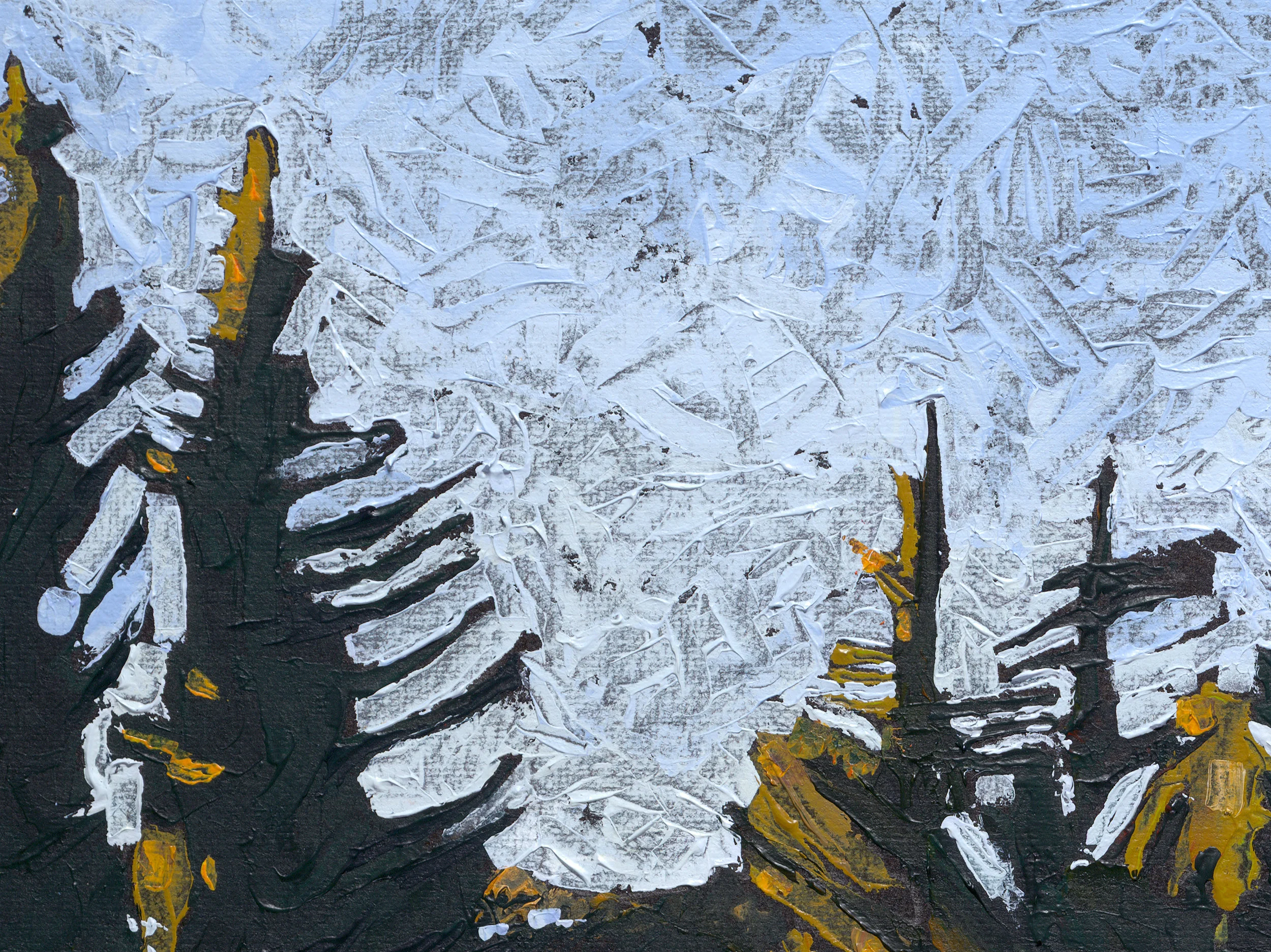Colorado Boondock FINAL_detail3.jpg