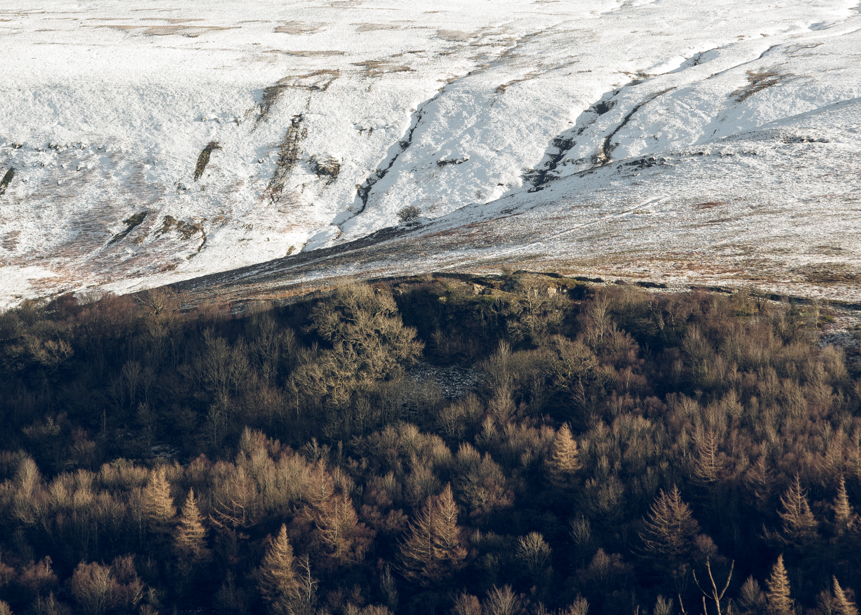 Brecon Snow Dapped