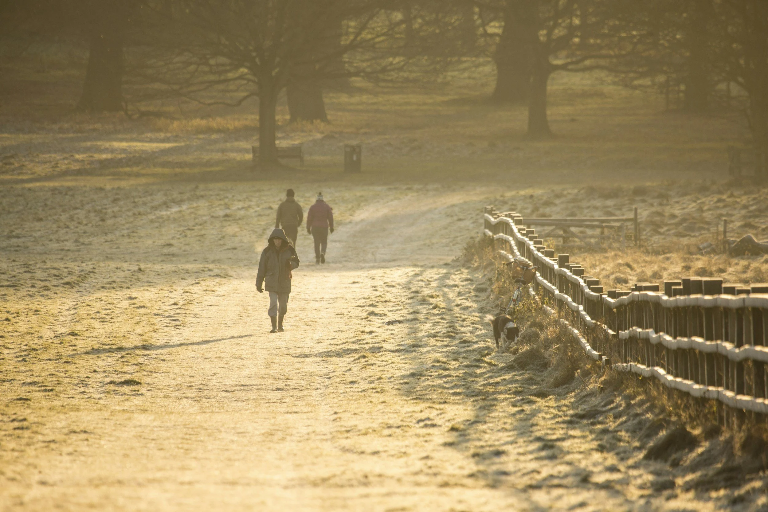 People walking in a park in winter