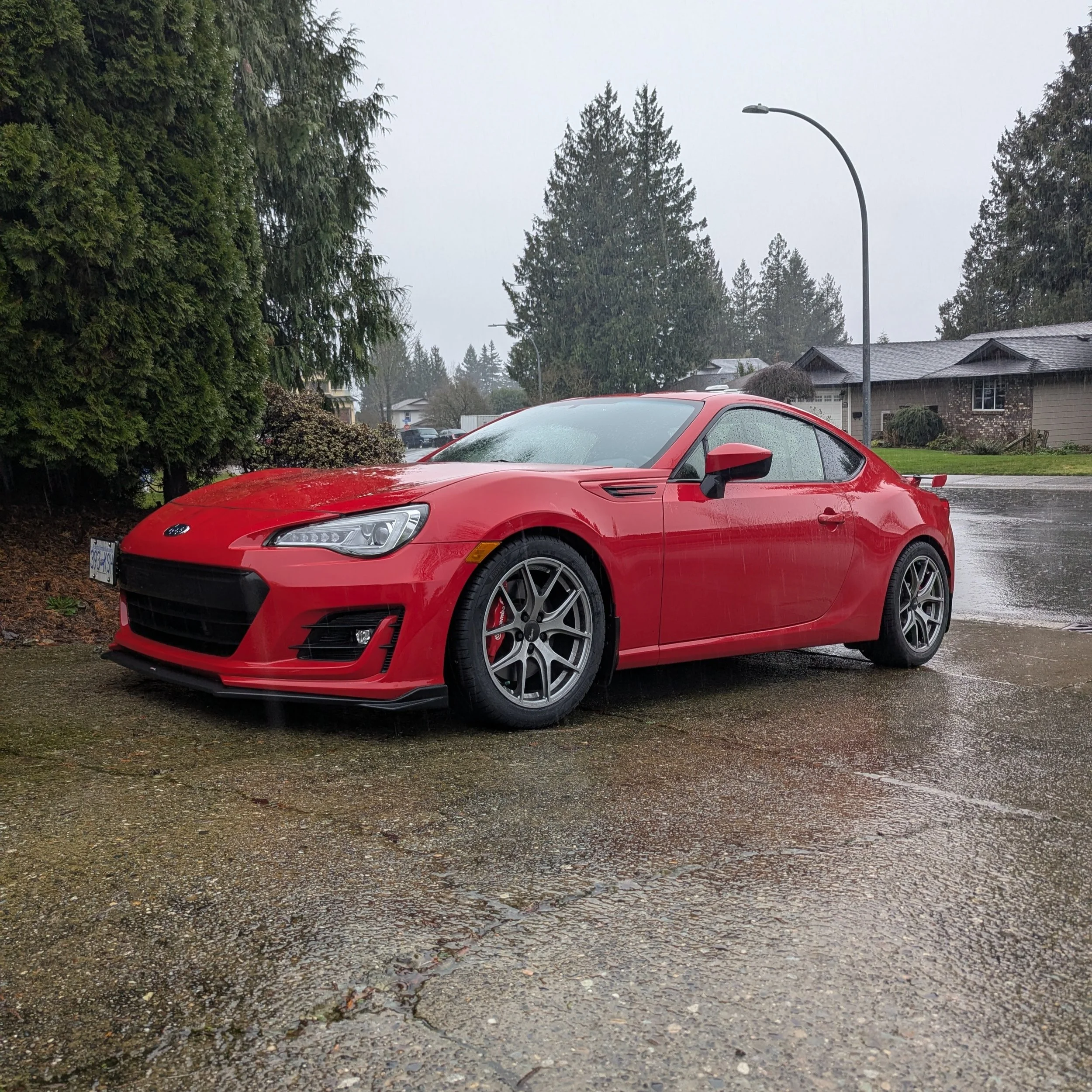 20260201_New_245_Rubber (1).jpg