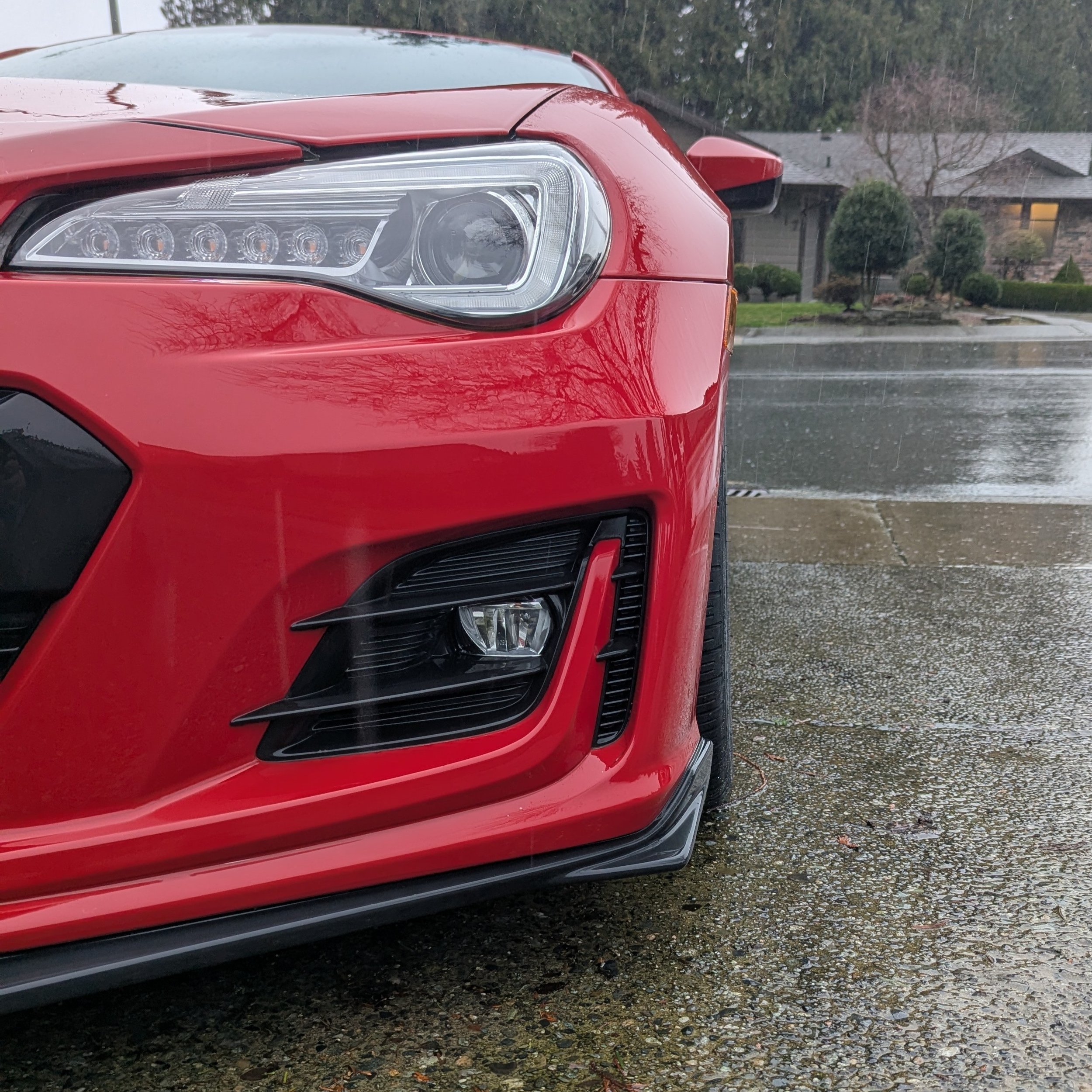 20260201_New_245_Rubber (3).jpg