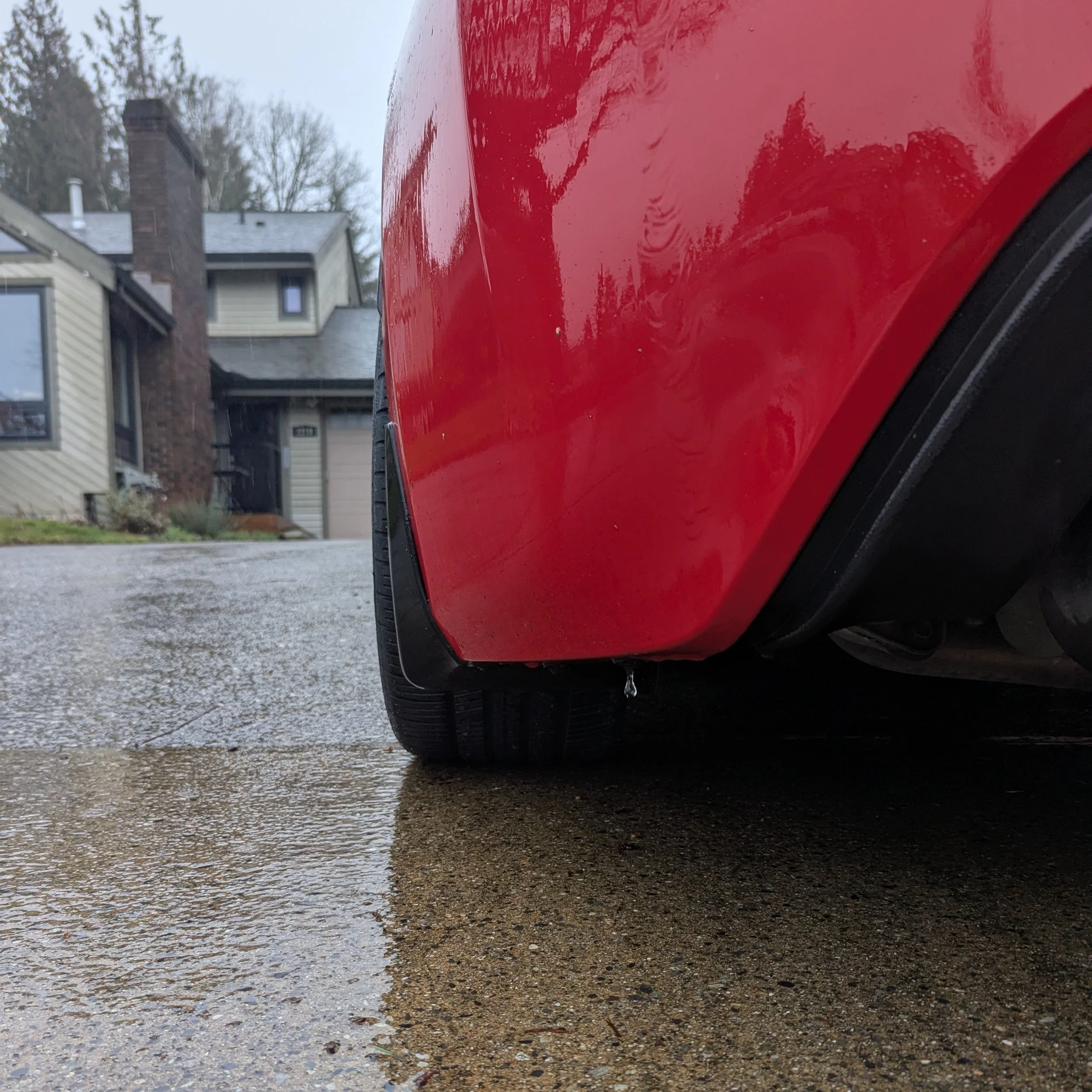 20260201_New_245_Rubber (4).jpg