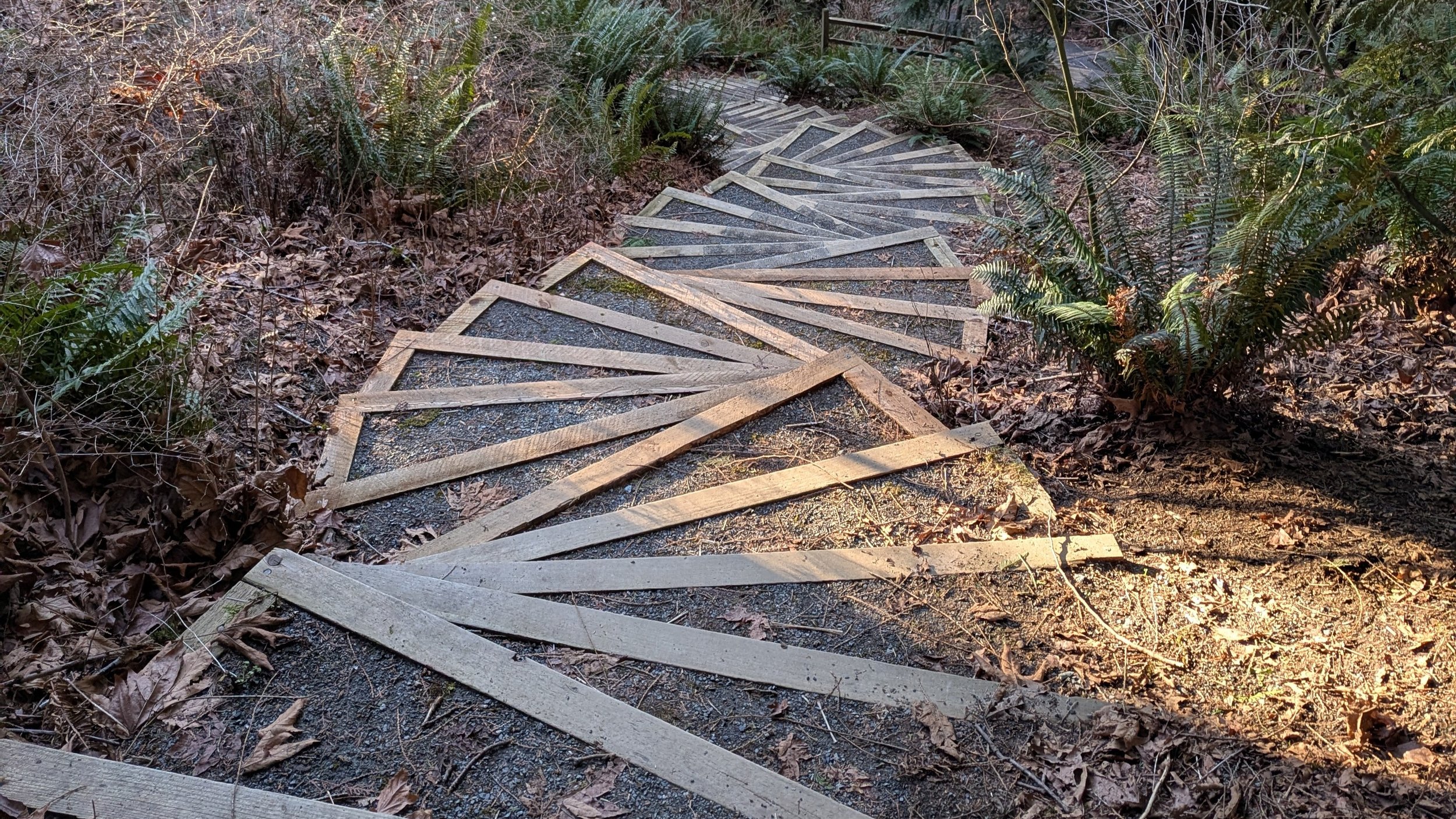 The infamous Auguston Stairs in Abbotsford, BC