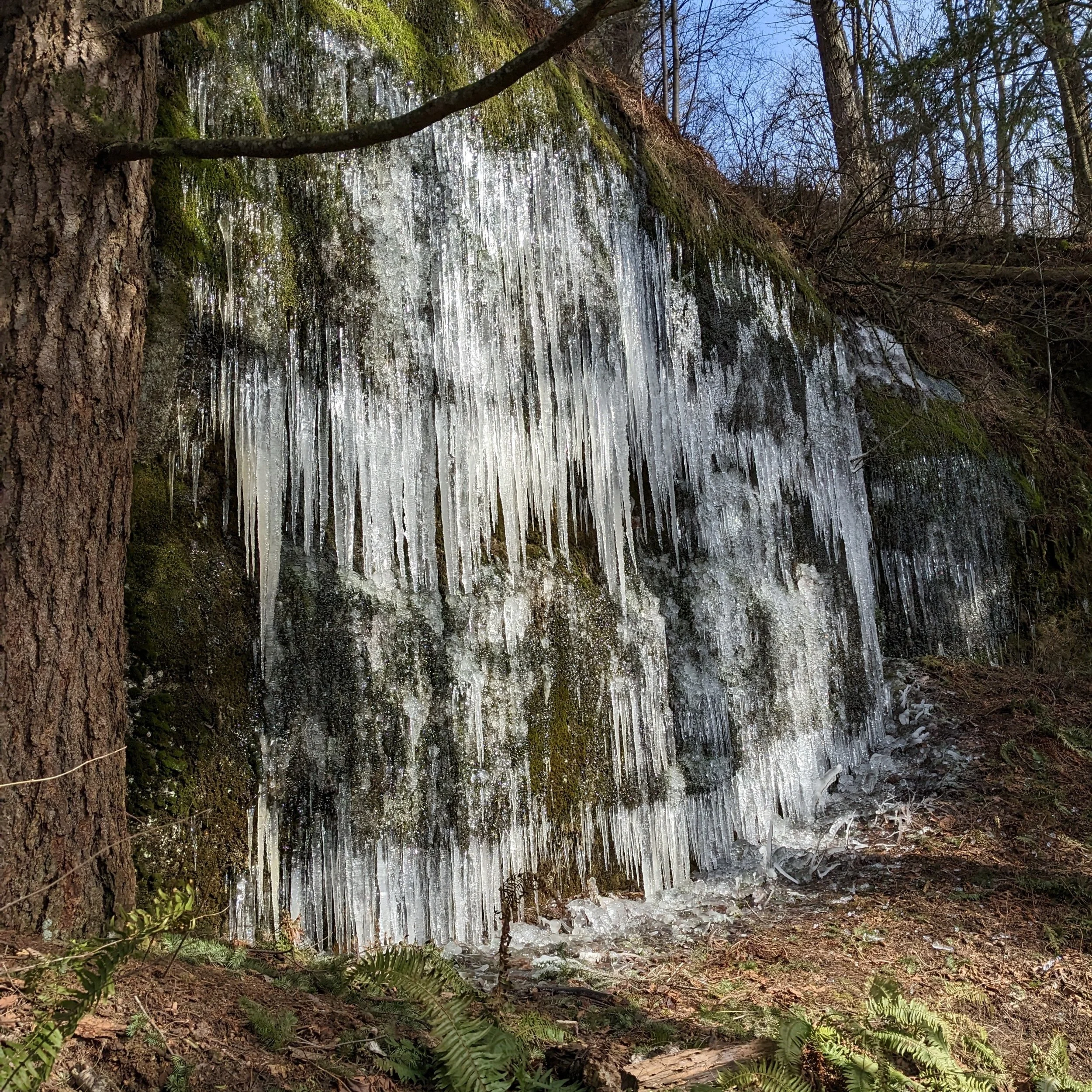 Winter icicles on McKee Peak's south side