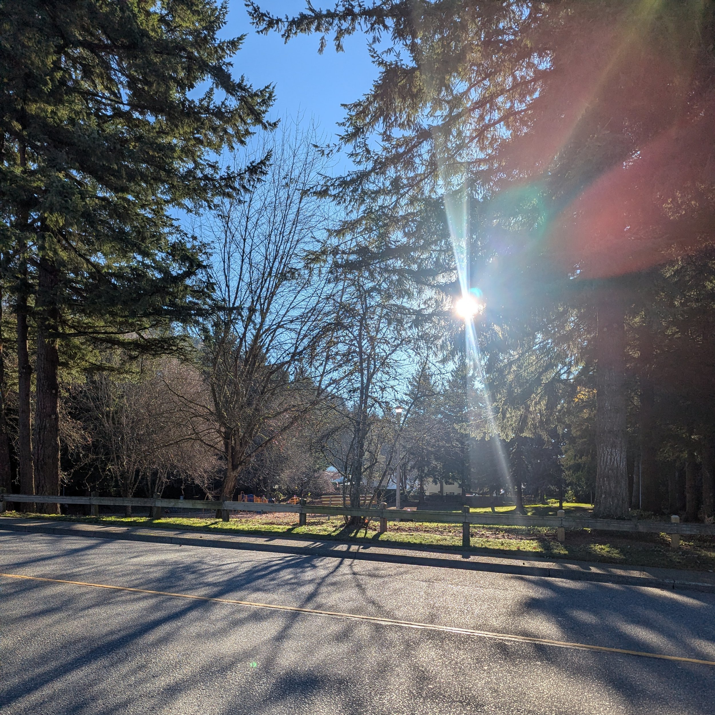 Strong Enough to Talk: How Training Builds More Than Muscle