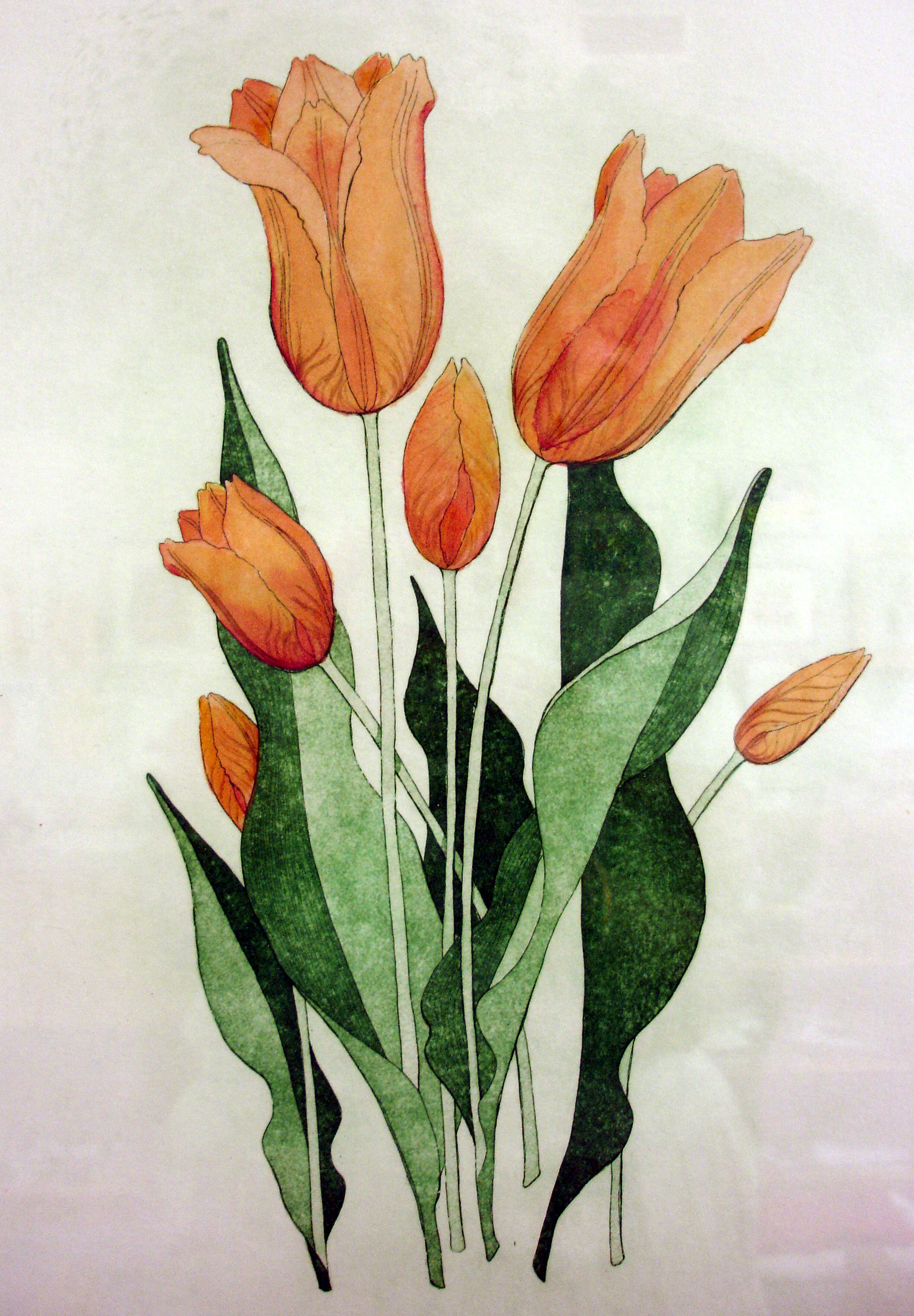 Peach Tulips