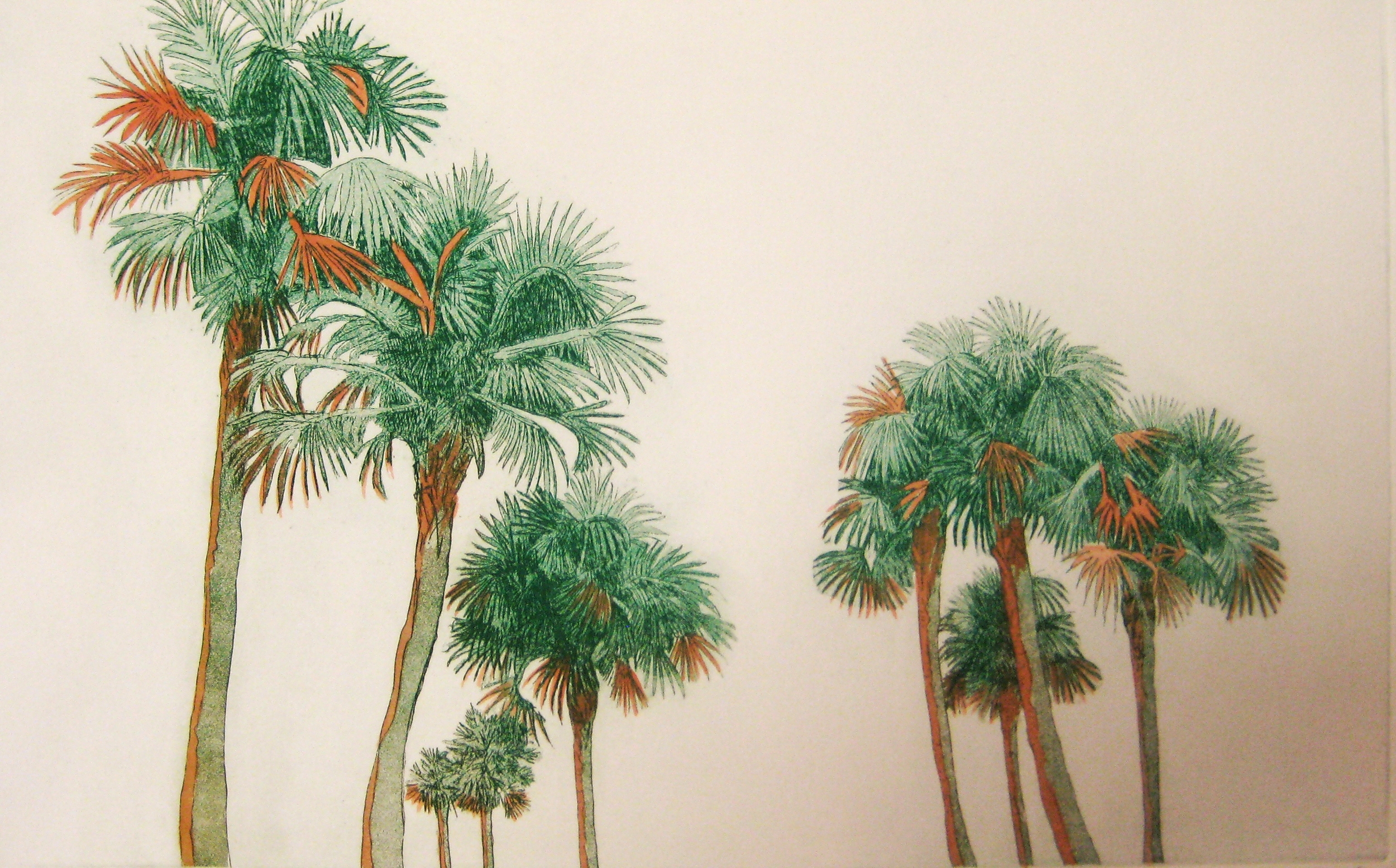 Sunkissed Palms