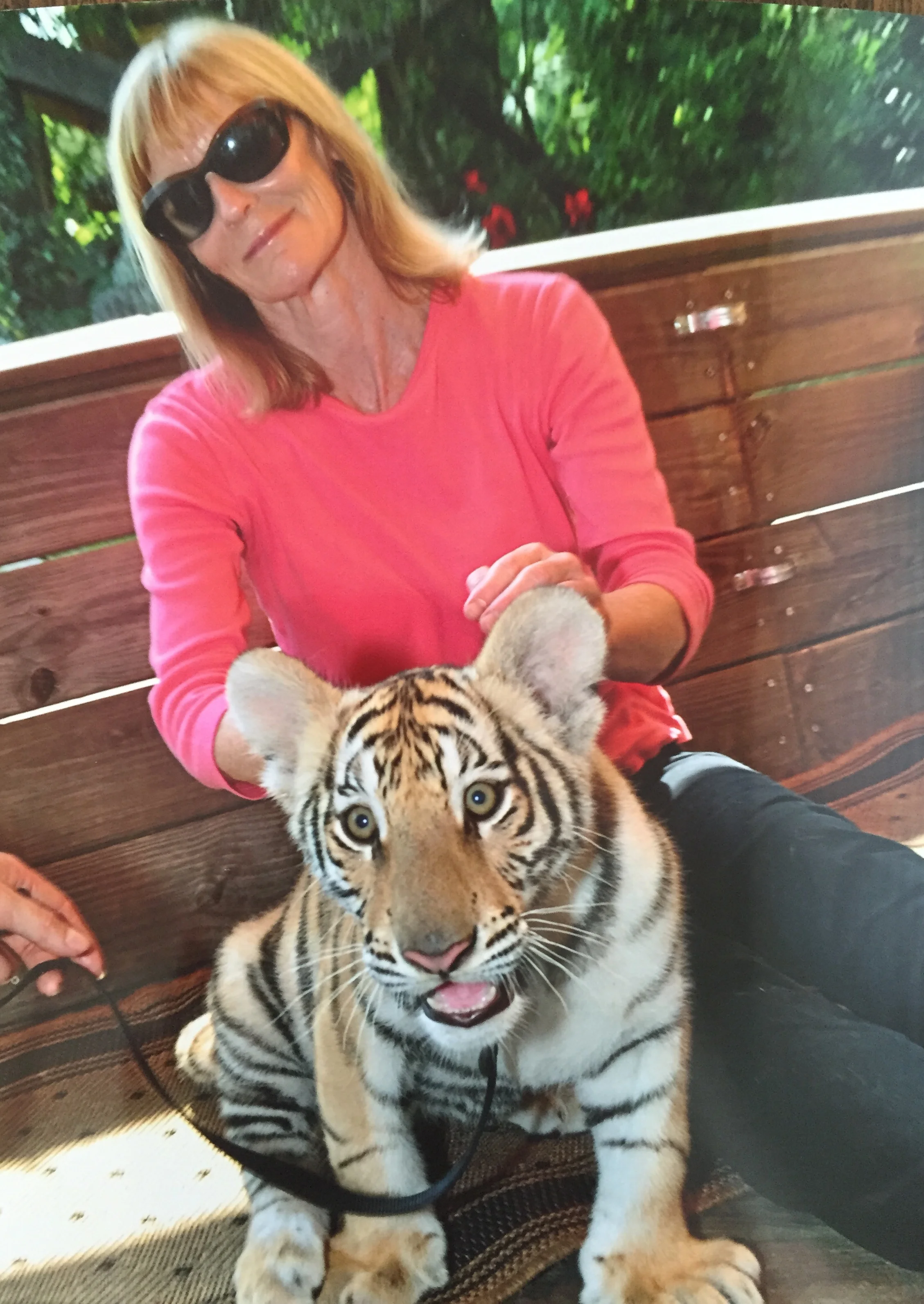 Courtesy: Myrtle Beach Safari