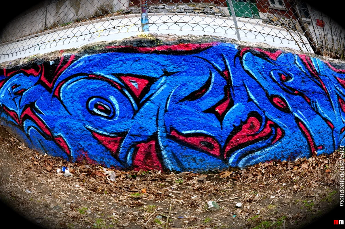 graffiti-june-2011-1200-mondomedeusah-026.jpg
