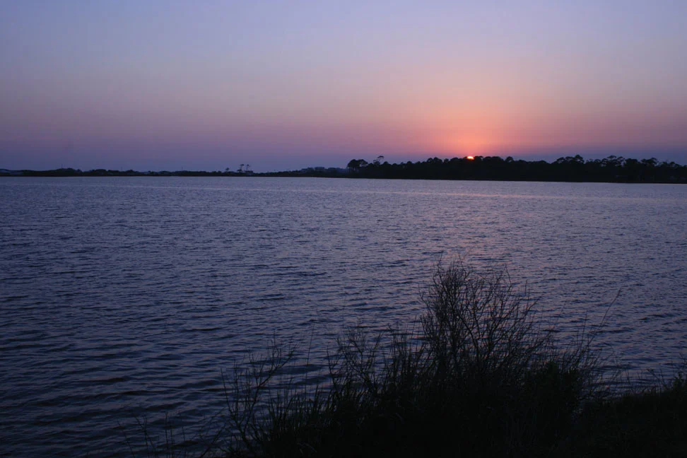 DL_Caps_Book  1541.jpg